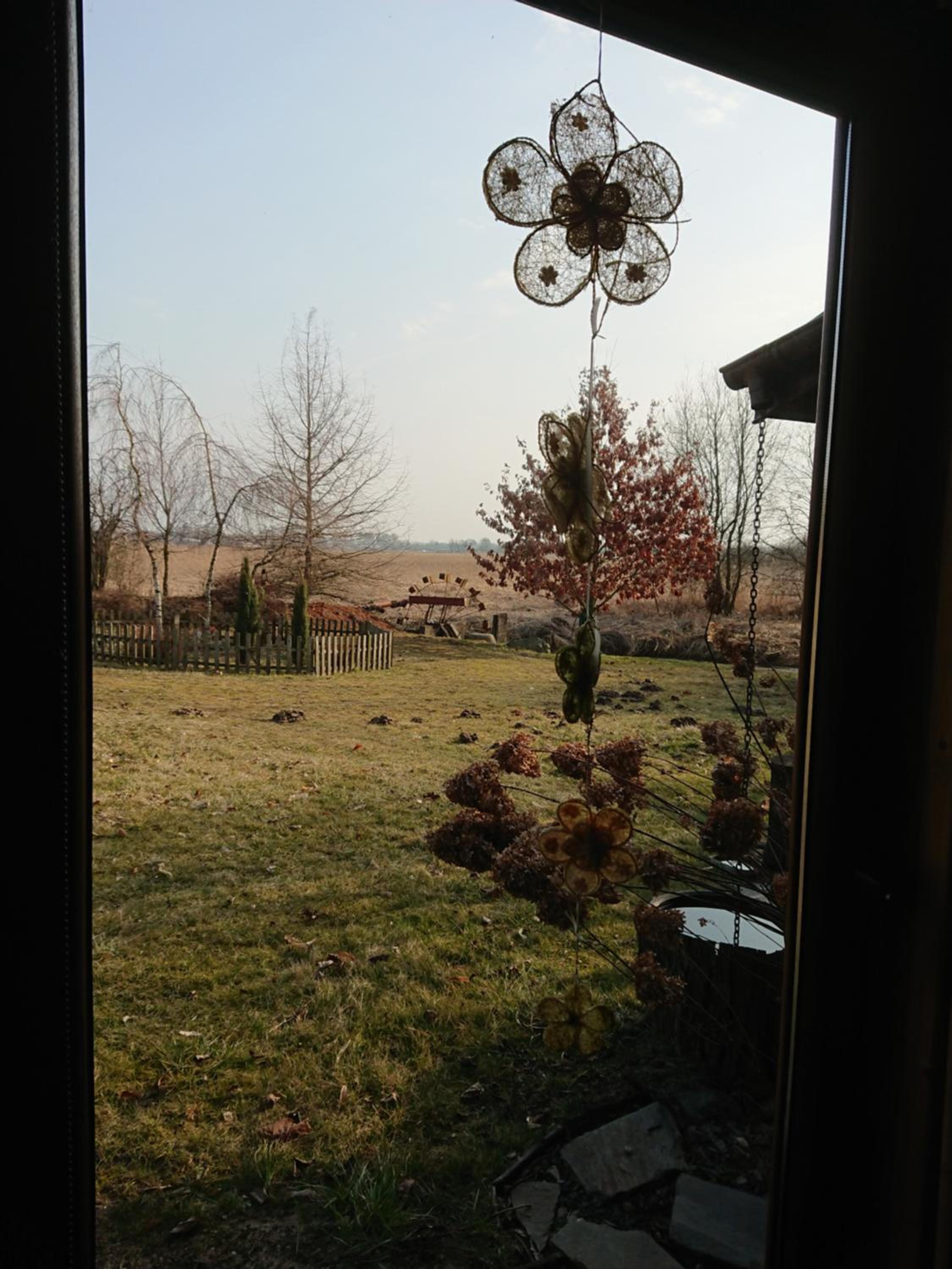 Photo 41