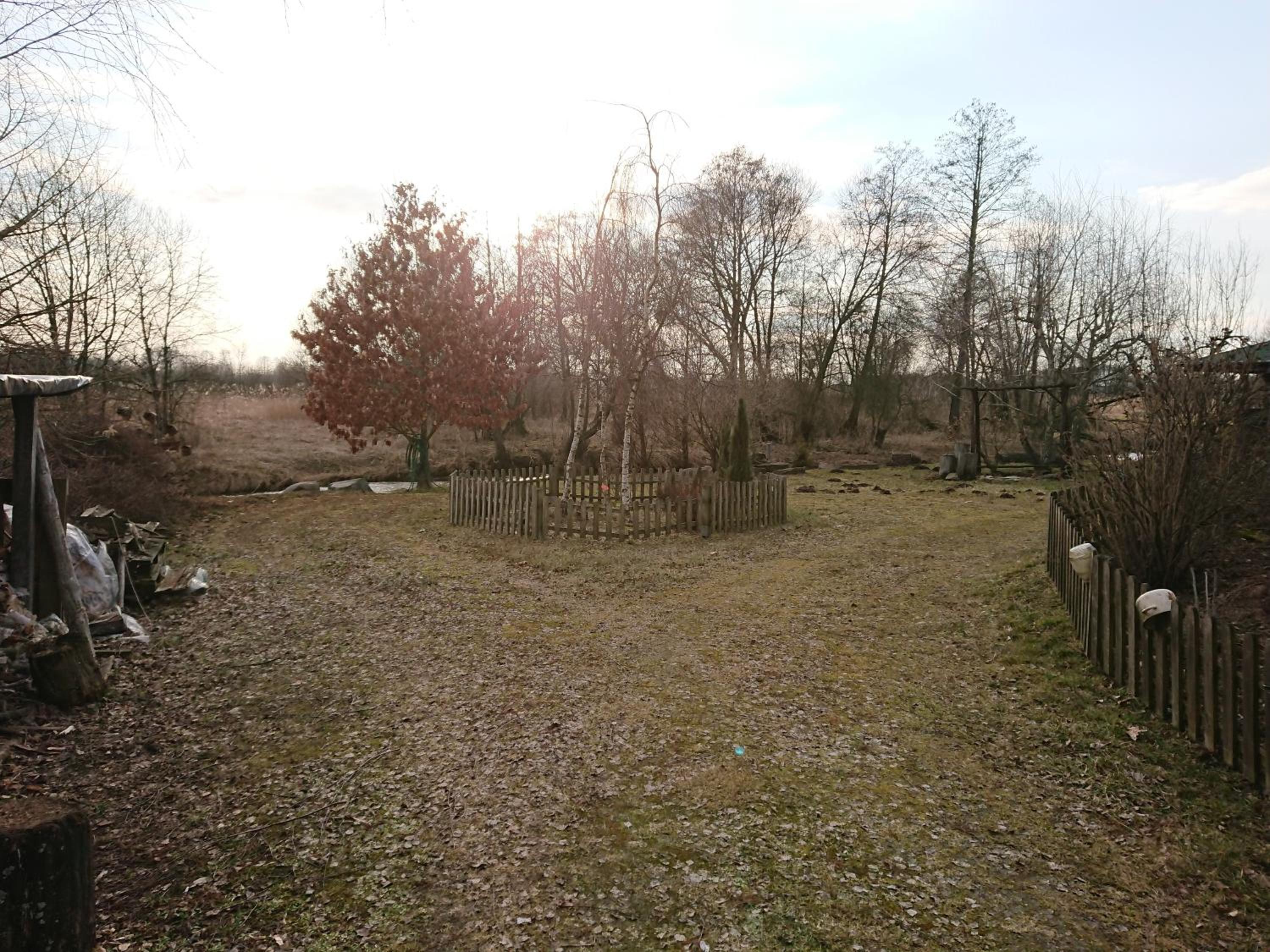 Photo 44