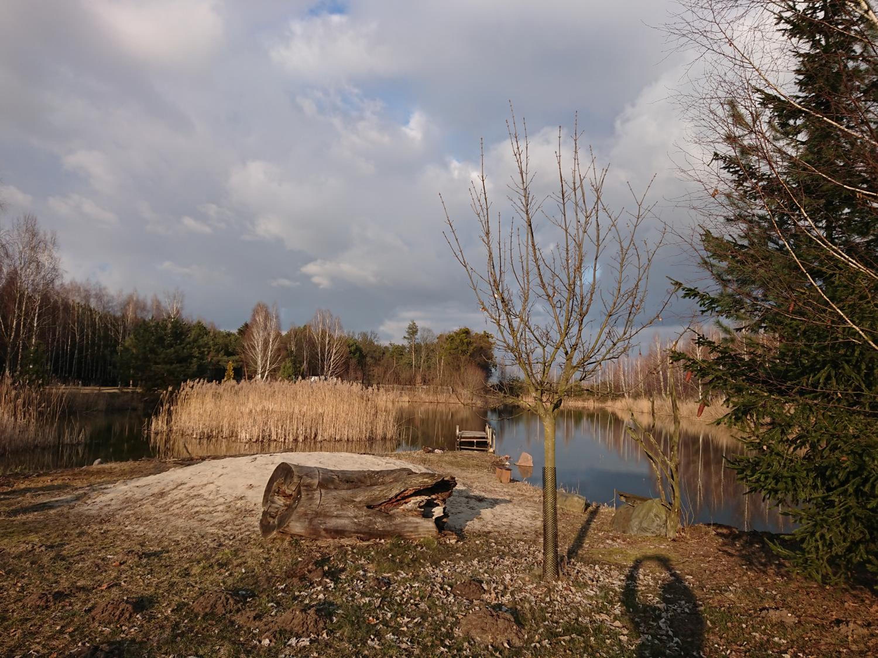 Photo 46