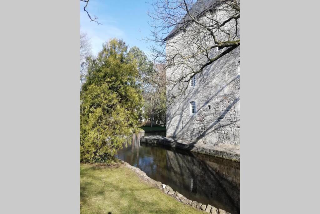 Photo 28