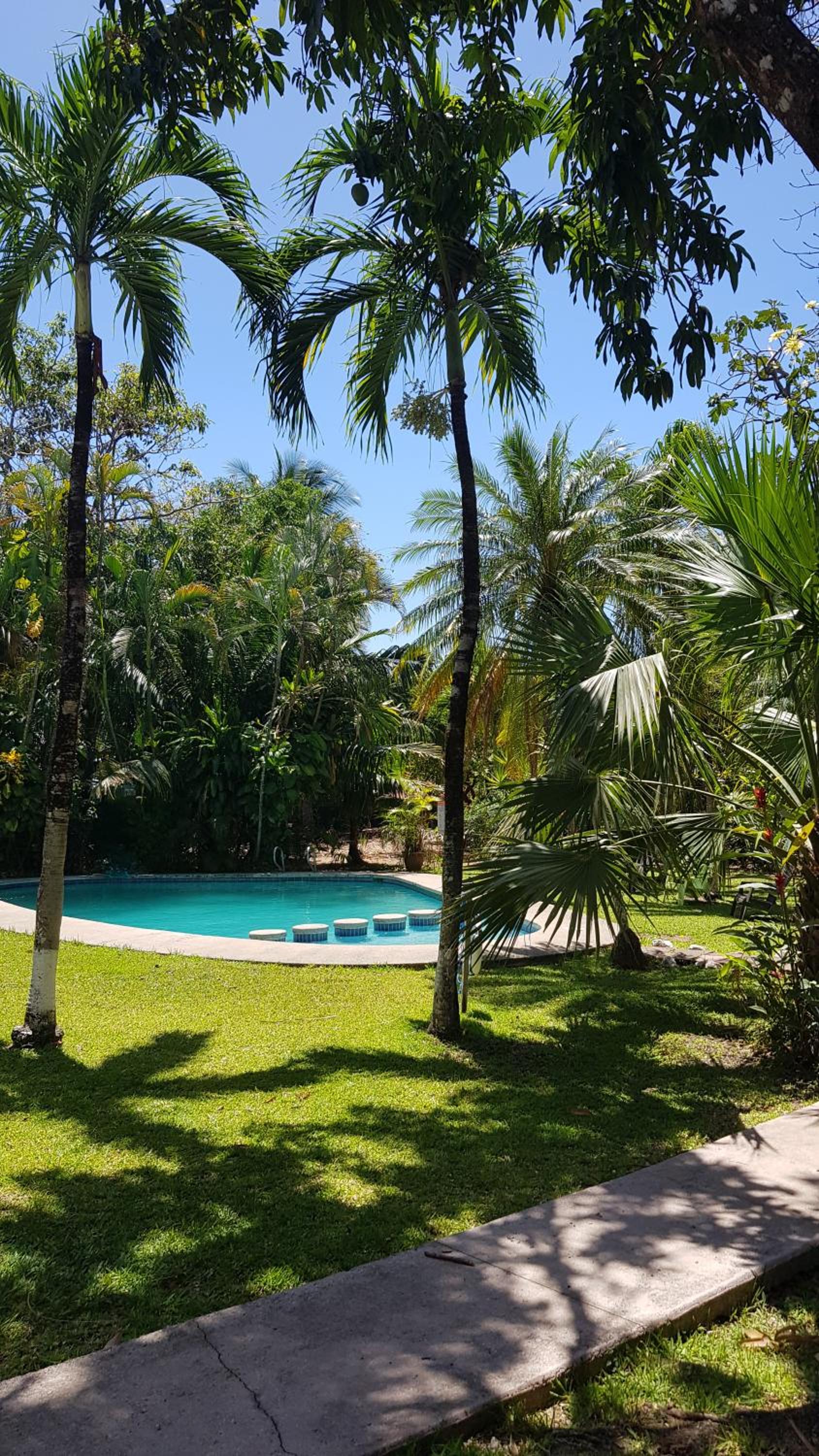 swimming pool
