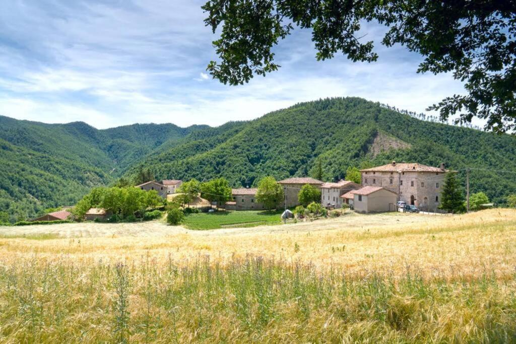 La Casina Rossa view 4