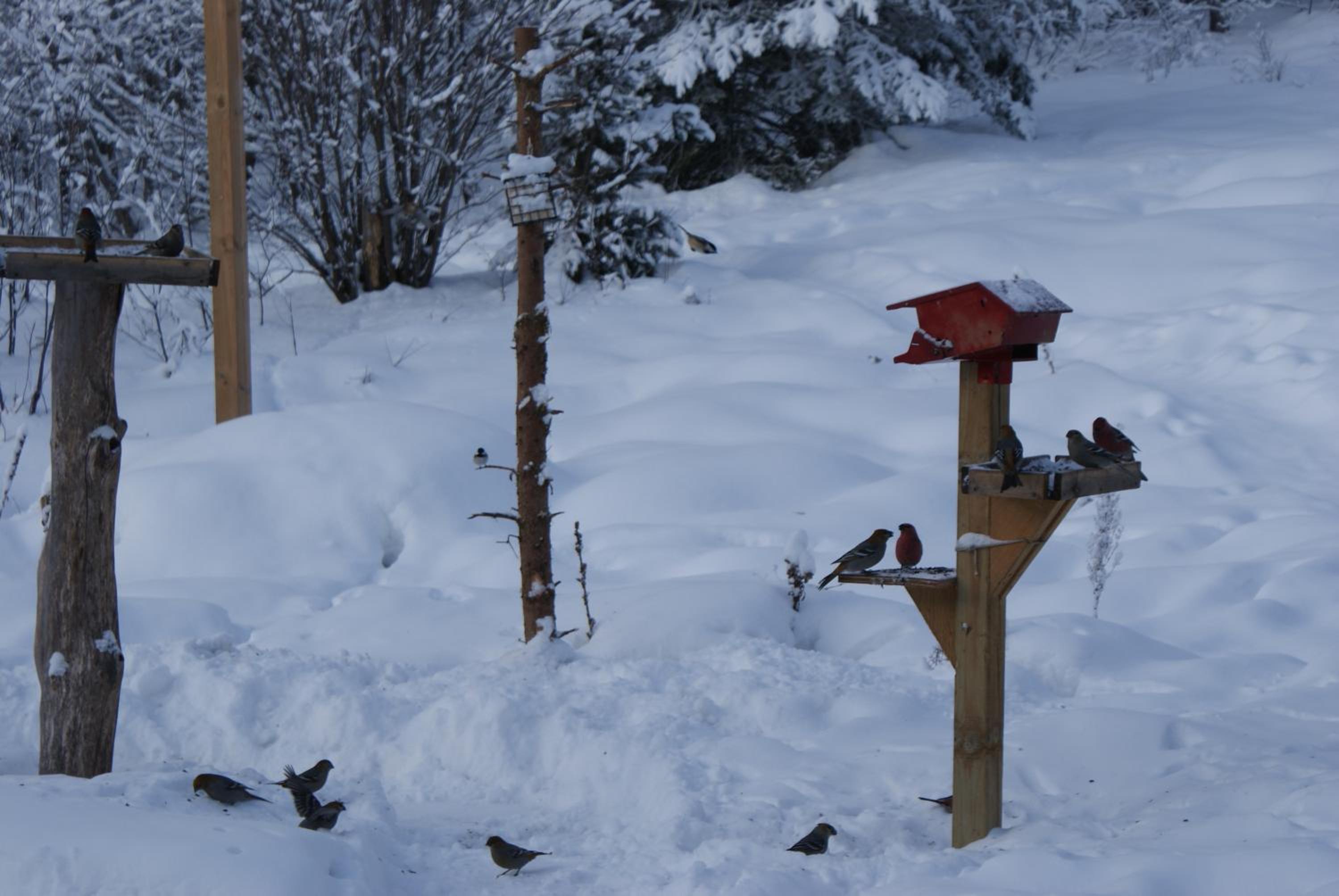 Top of Algonquin Bed and Breakfast