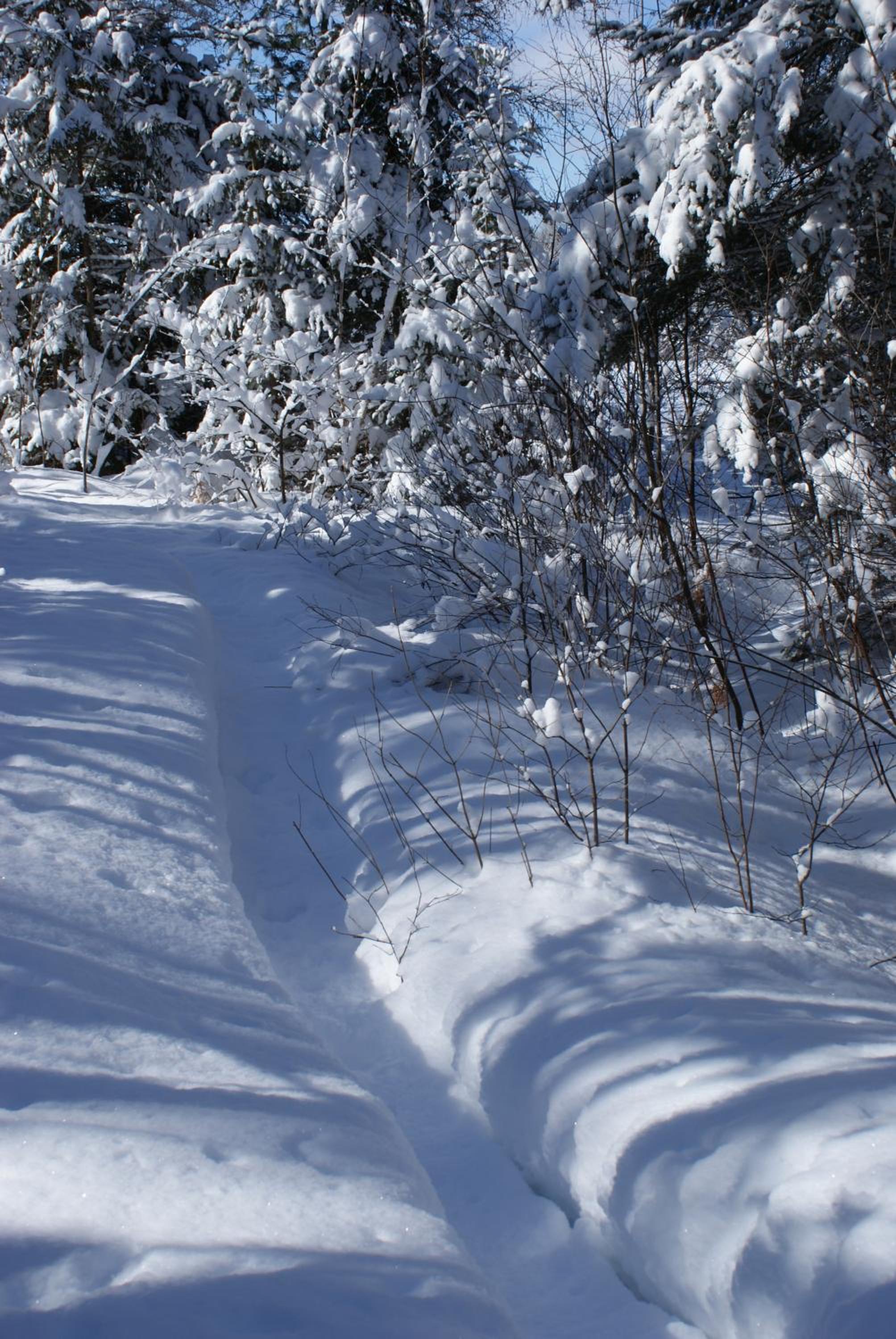Top of Algonquin Bed and Breakfast