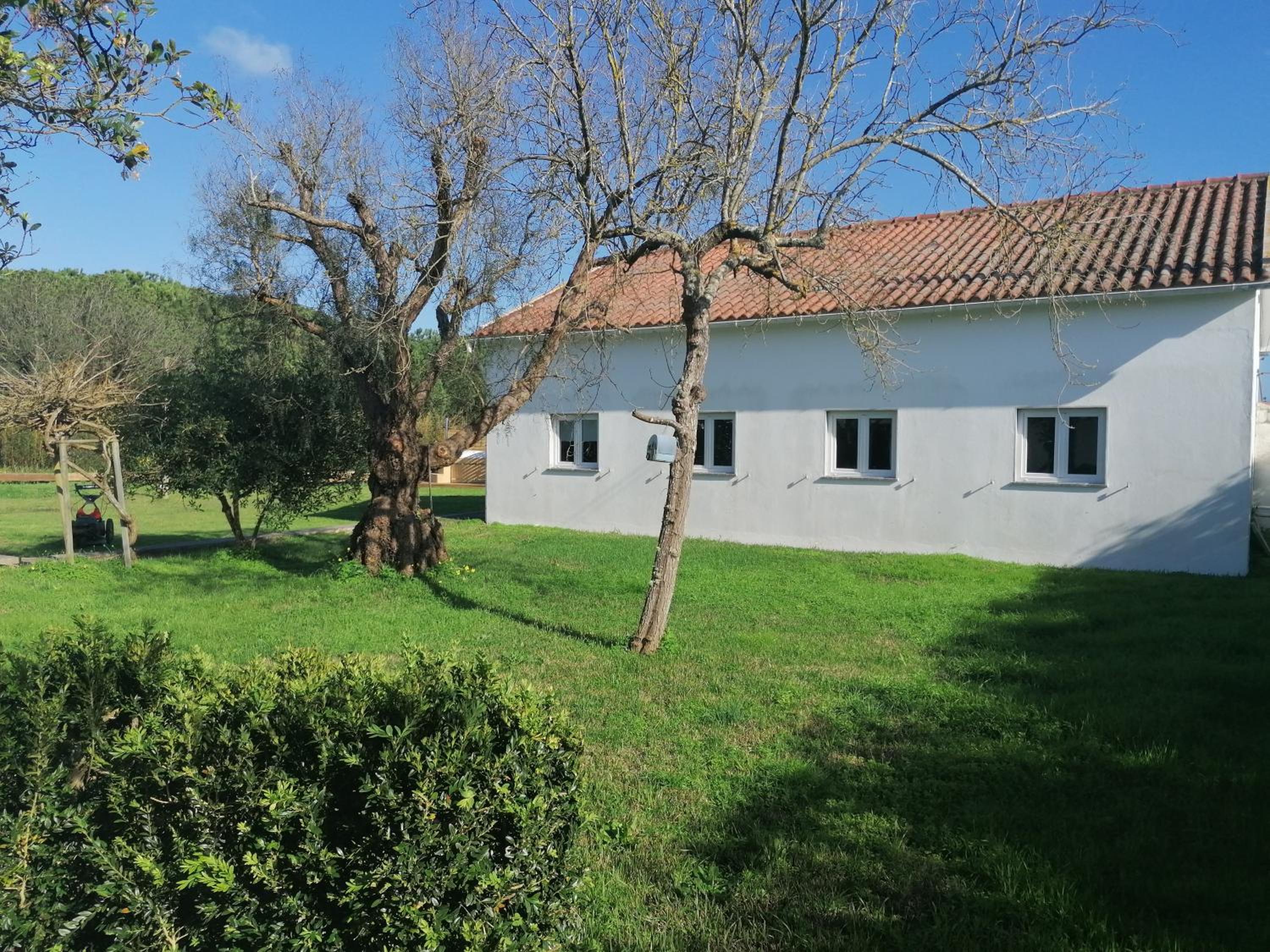 Hotel Pine 3 Inn, Holiday Home, Activities And More