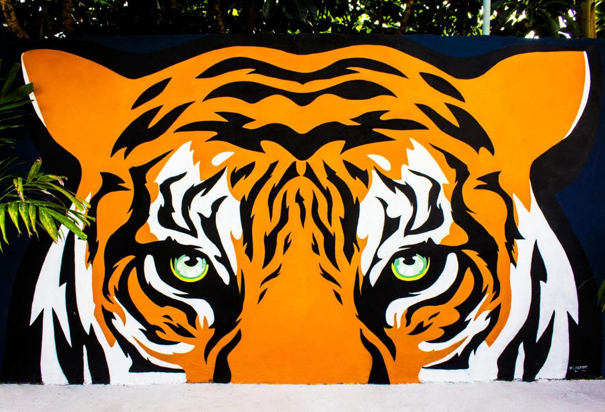 El Tigre de Santiago