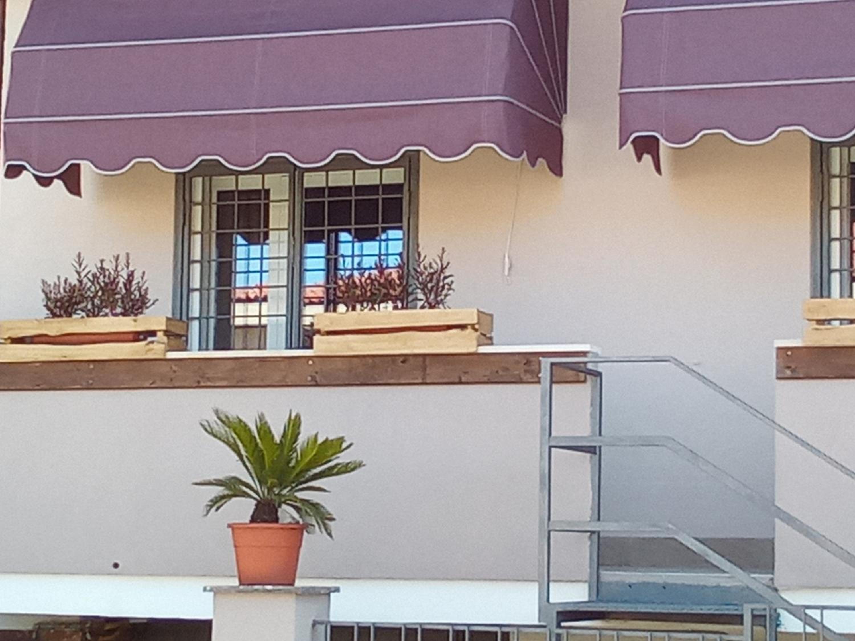 Big Mama Jungle Rooms e spa view 3