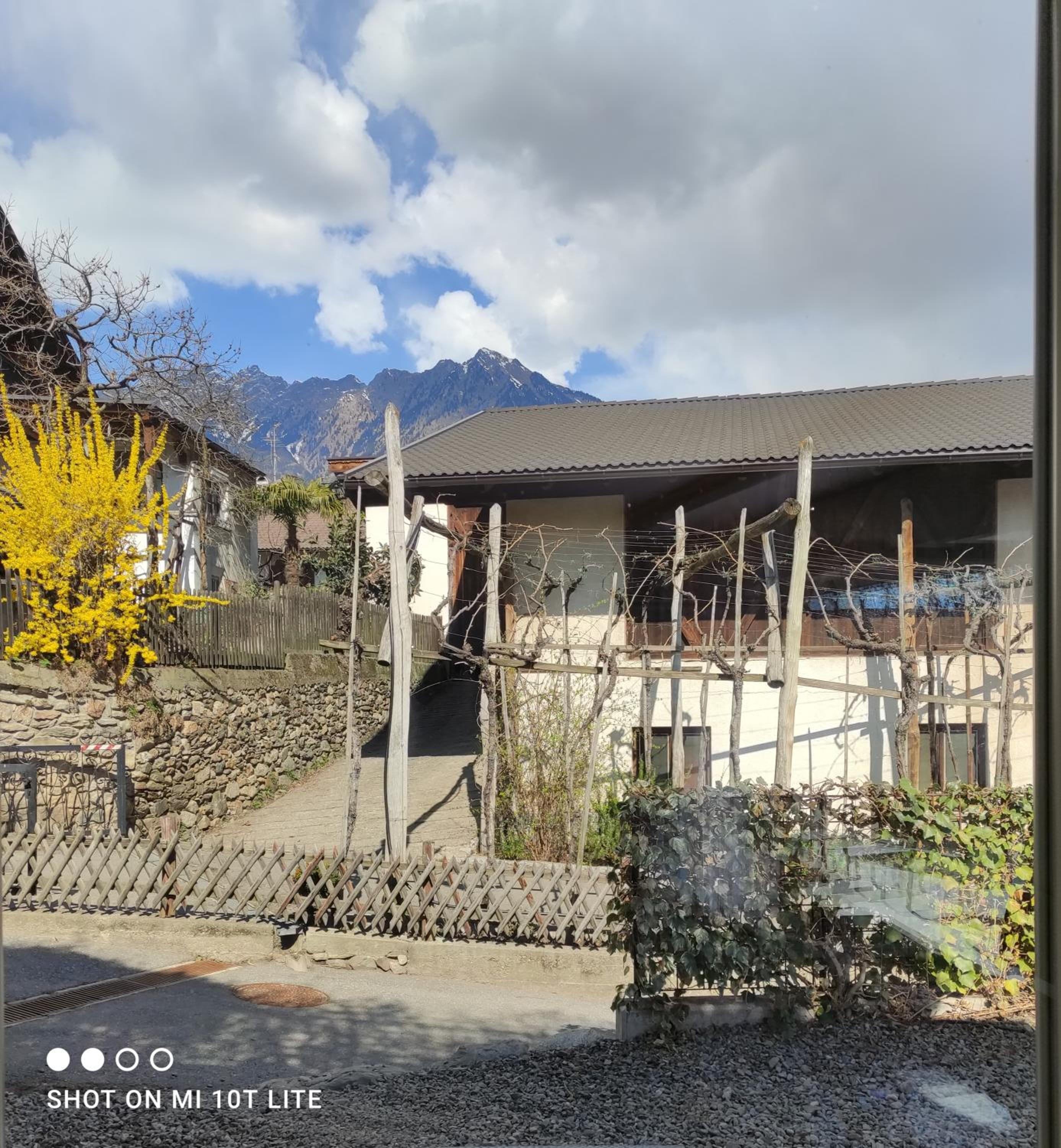 Ruhige Ferienwohnung mit Garten und Garage in Privatvilla view 5