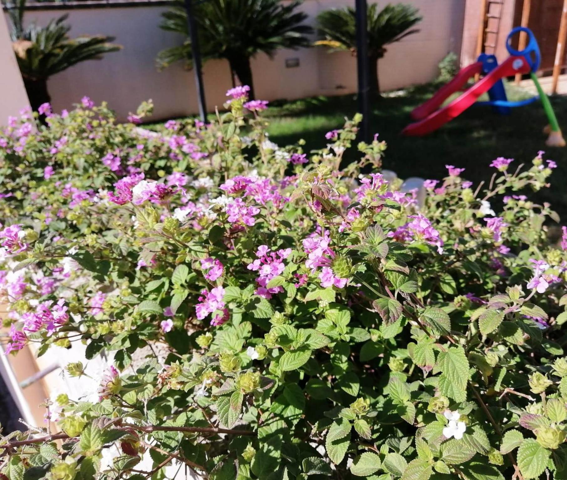 B&B Erminia - Free Parking e Mare Vicino