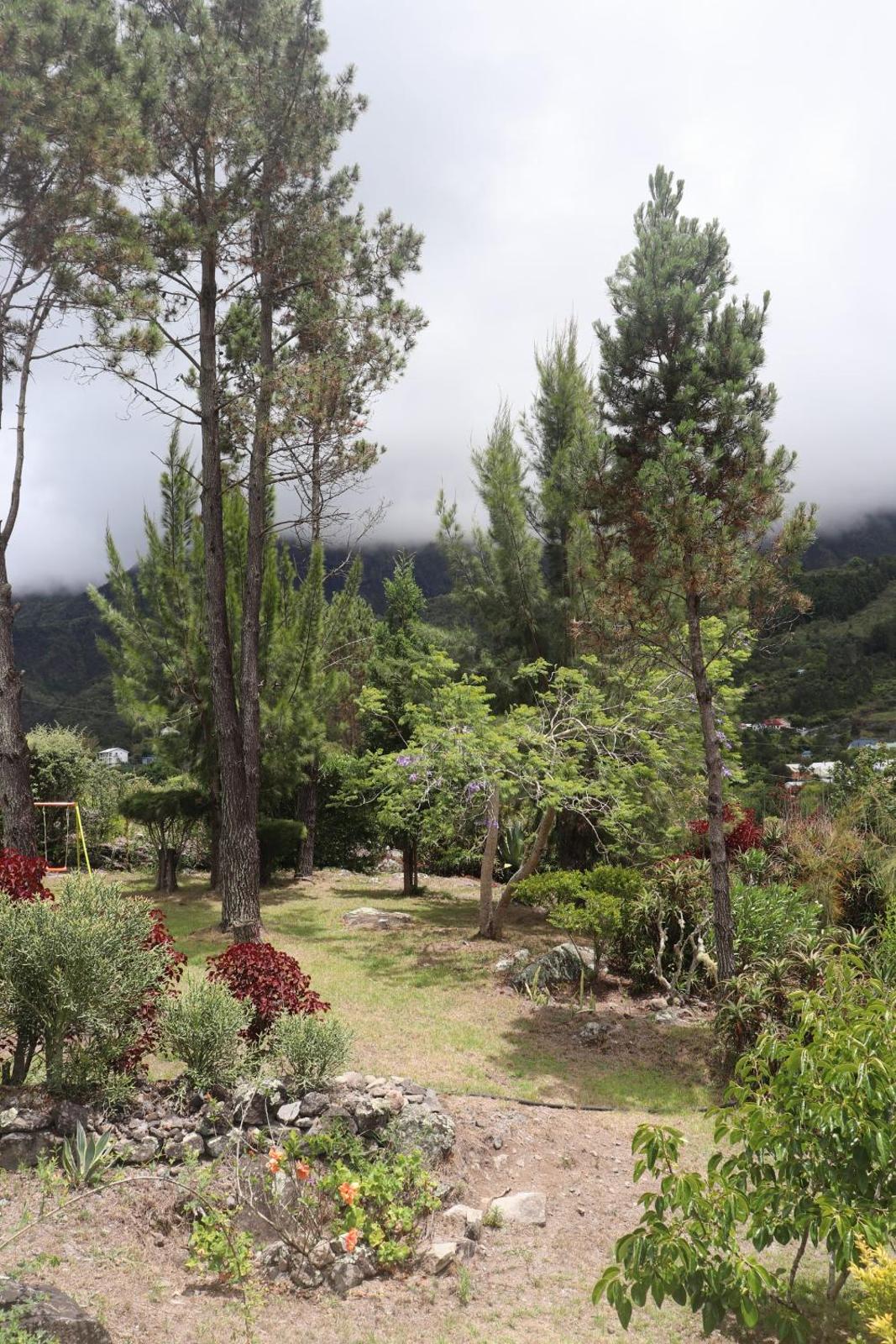 Photo 25