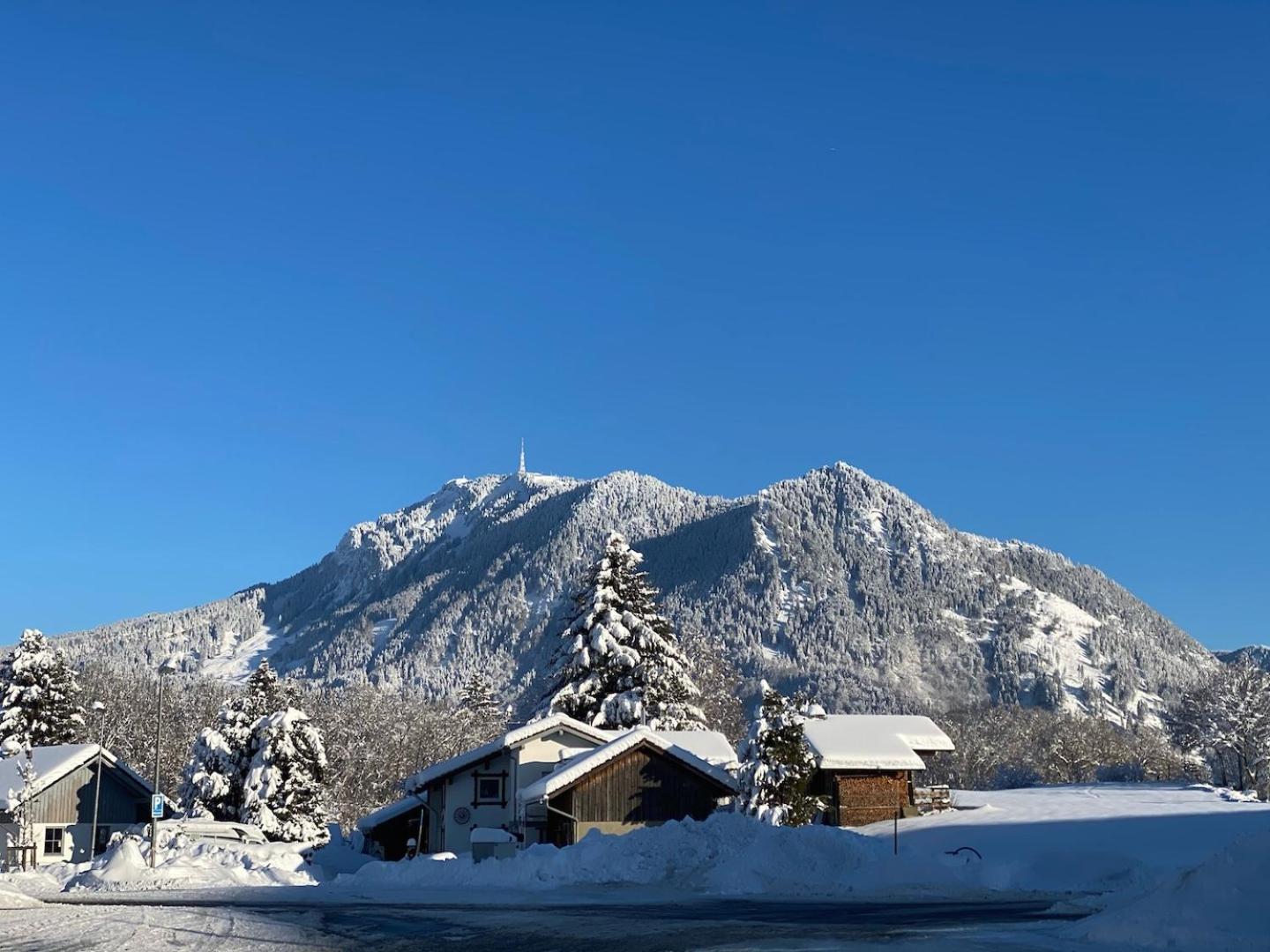 Wald-Ferienhaus-Seefried
