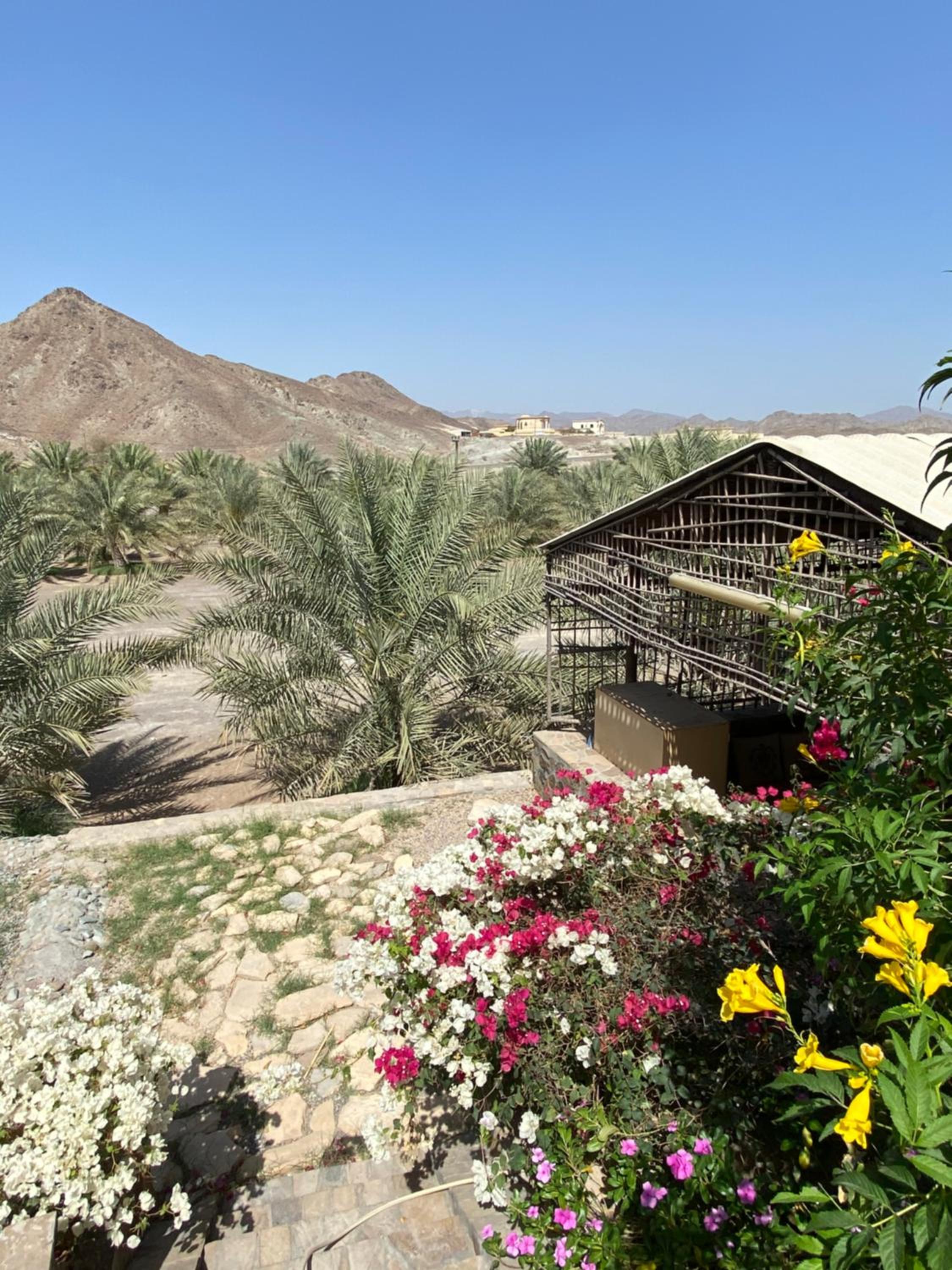 UAE farm