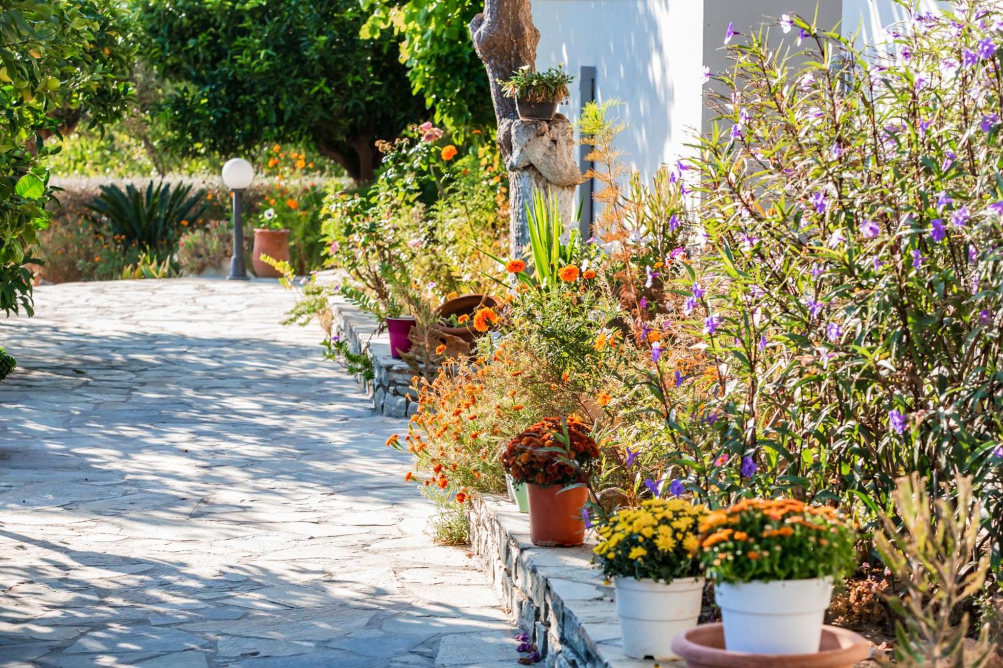 Filia Rooms & Apartments