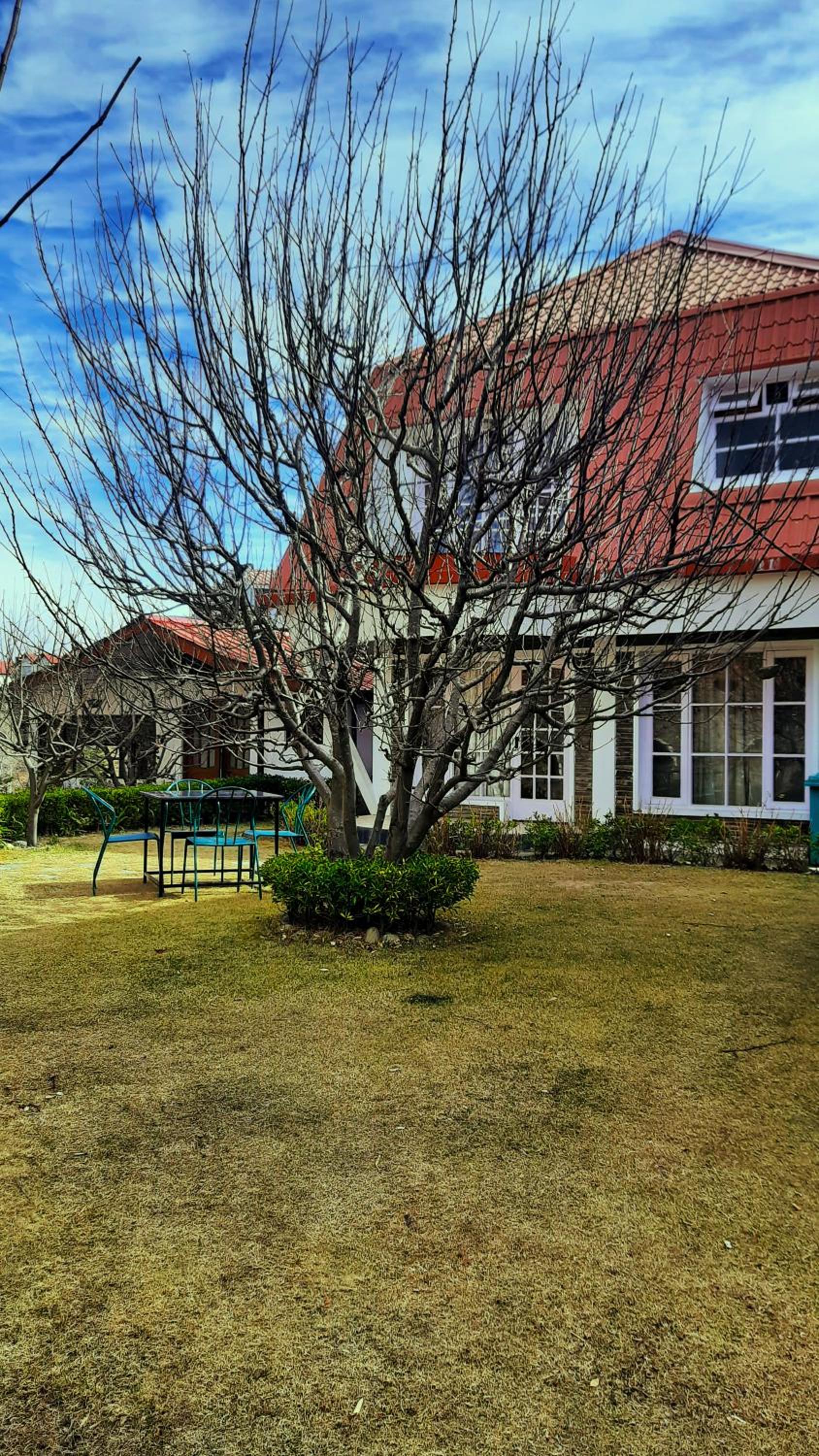 Marigold Sarovar Portico Shimla with Heated pool and AC Rooms-A Resort cottage and SPA Marigold Sarovar Portico Shimla with Heated pool and AC Rooms-A Resort cottage and SPA