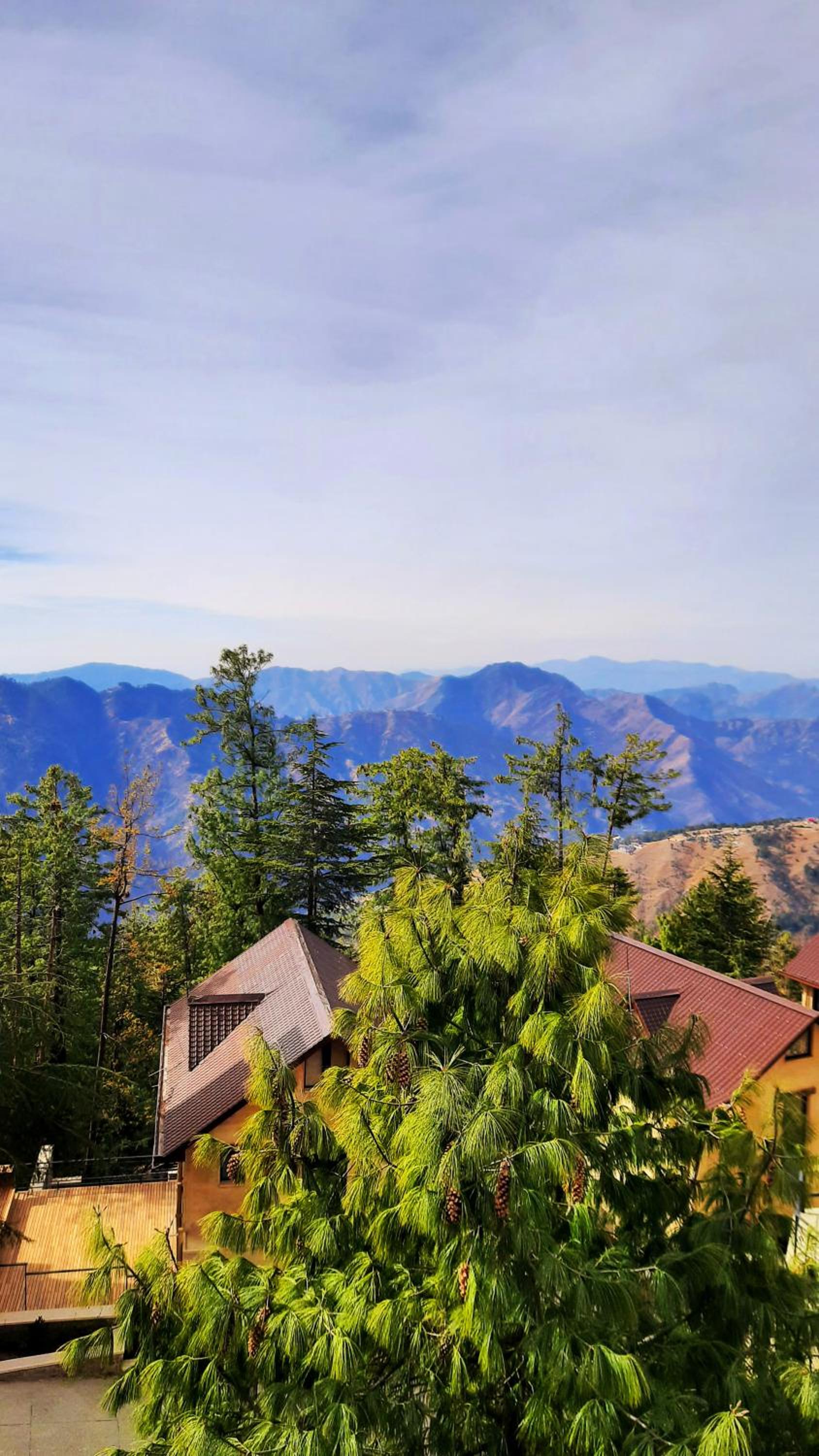 Marigold Sarovar Portico Shimla with Heated pool and AC Rooms-A Resort cottage and SPA Marigold Sarovar Portico Shimla with Heated pool and AC Rooms-A Resort cottage and SPA