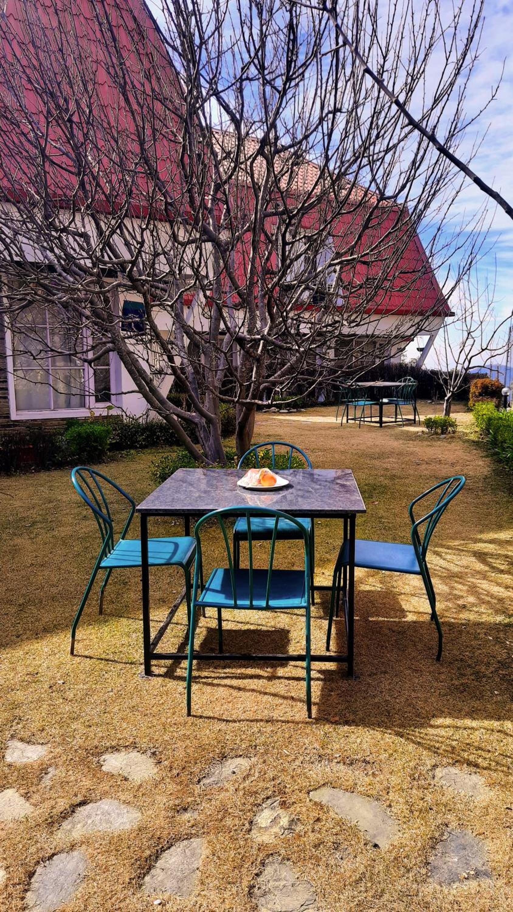 Marigold Sarovar Portico Shimla with Heated pool and AC Rooms-A Resort cottage and SPA Marigold Sarovar Portico Shimla with Heated pool and AC Rooms-A Resort cottage and SPA