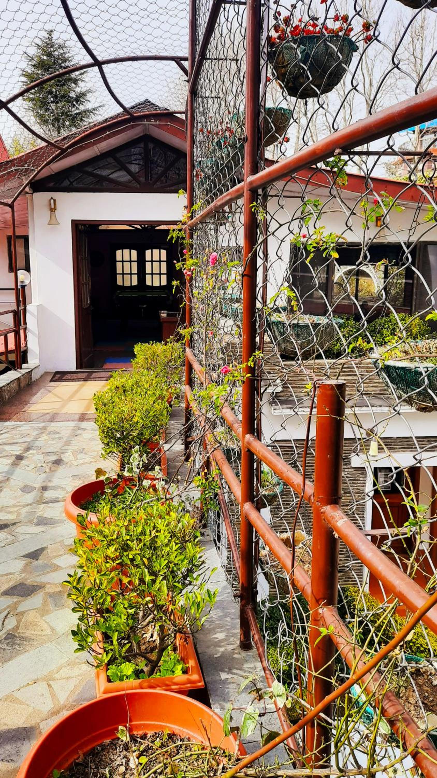 Marigold Sarovar Portico Shimla with Heated pool and AC Rooms-A Resort cottage and SPA Marigold Sarovar Portico Shimla with Heated pool and AC Rooms-A Resort cottage and SPA