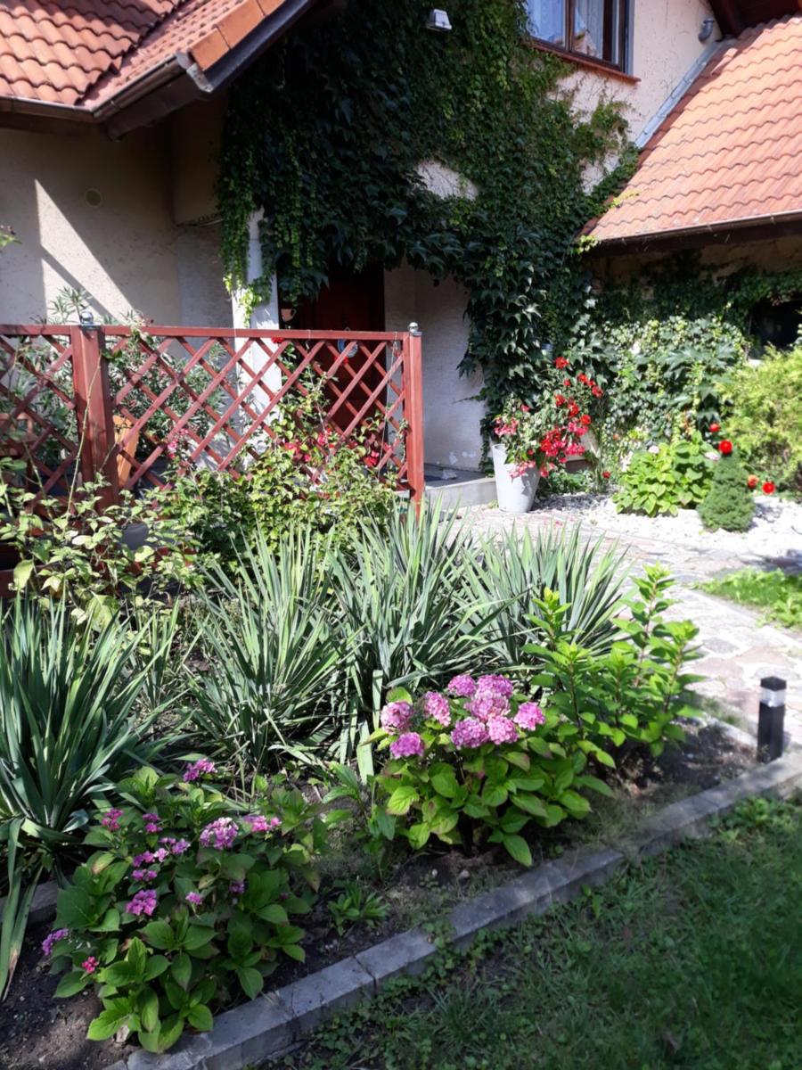 Apartament Leśna