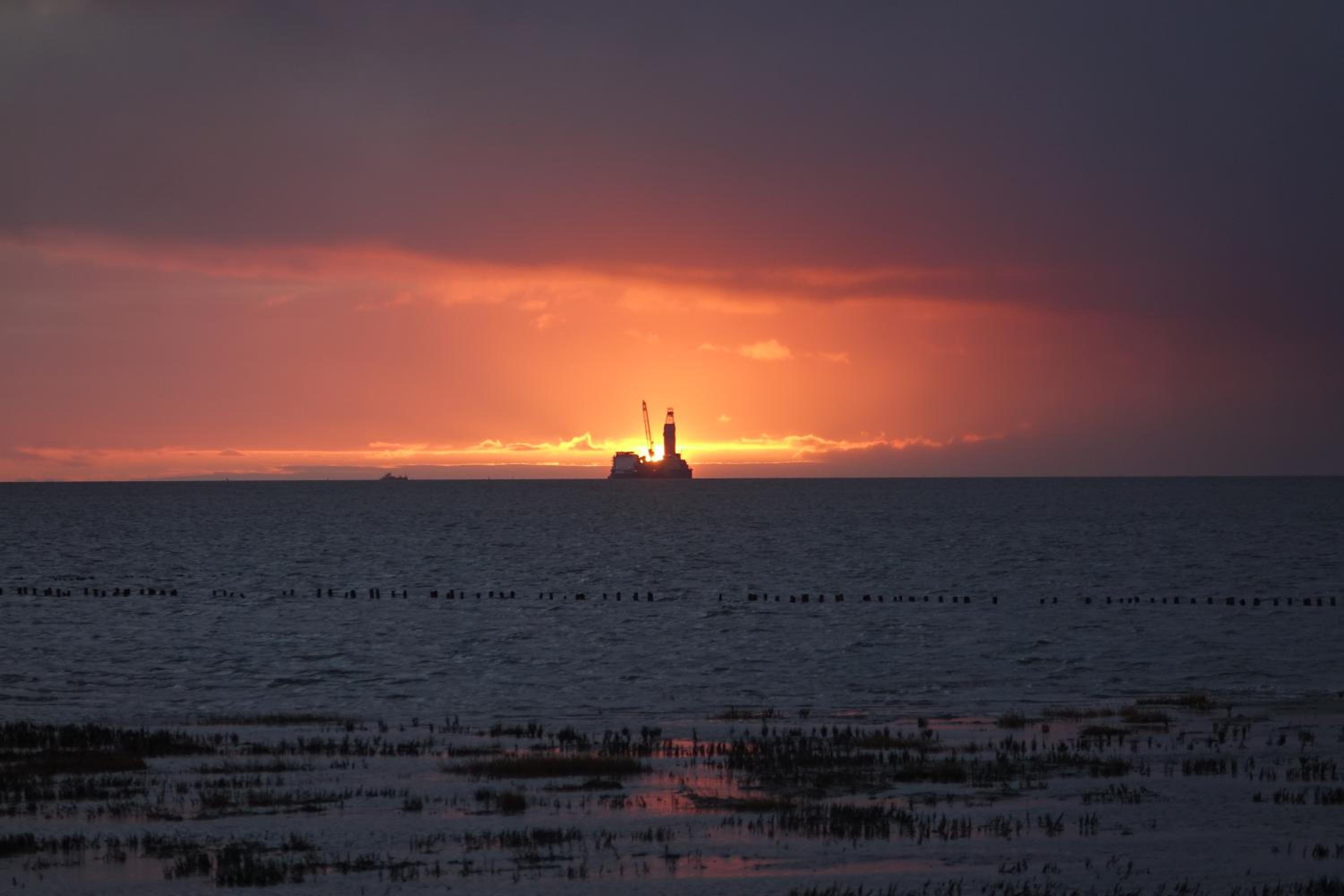 Grüne Düne Meerblick Friedrichskoog Spitze