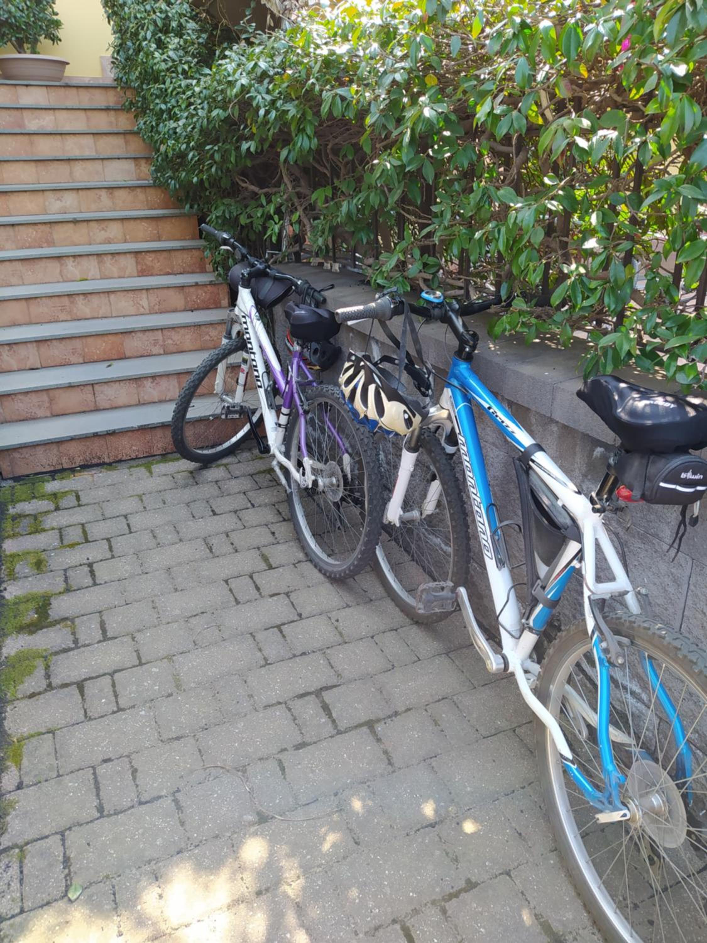 Photo 30
