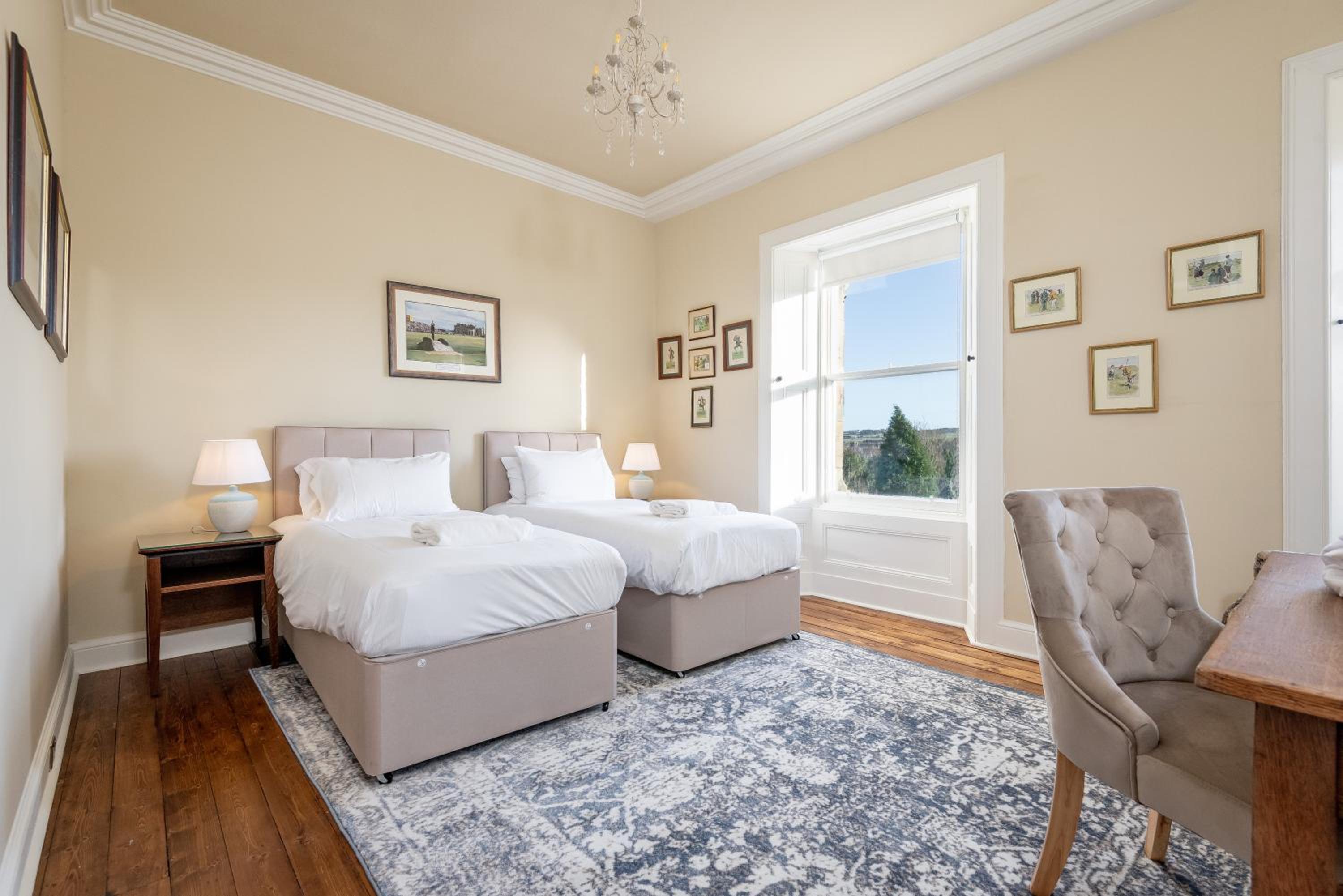 Magnolia view 5