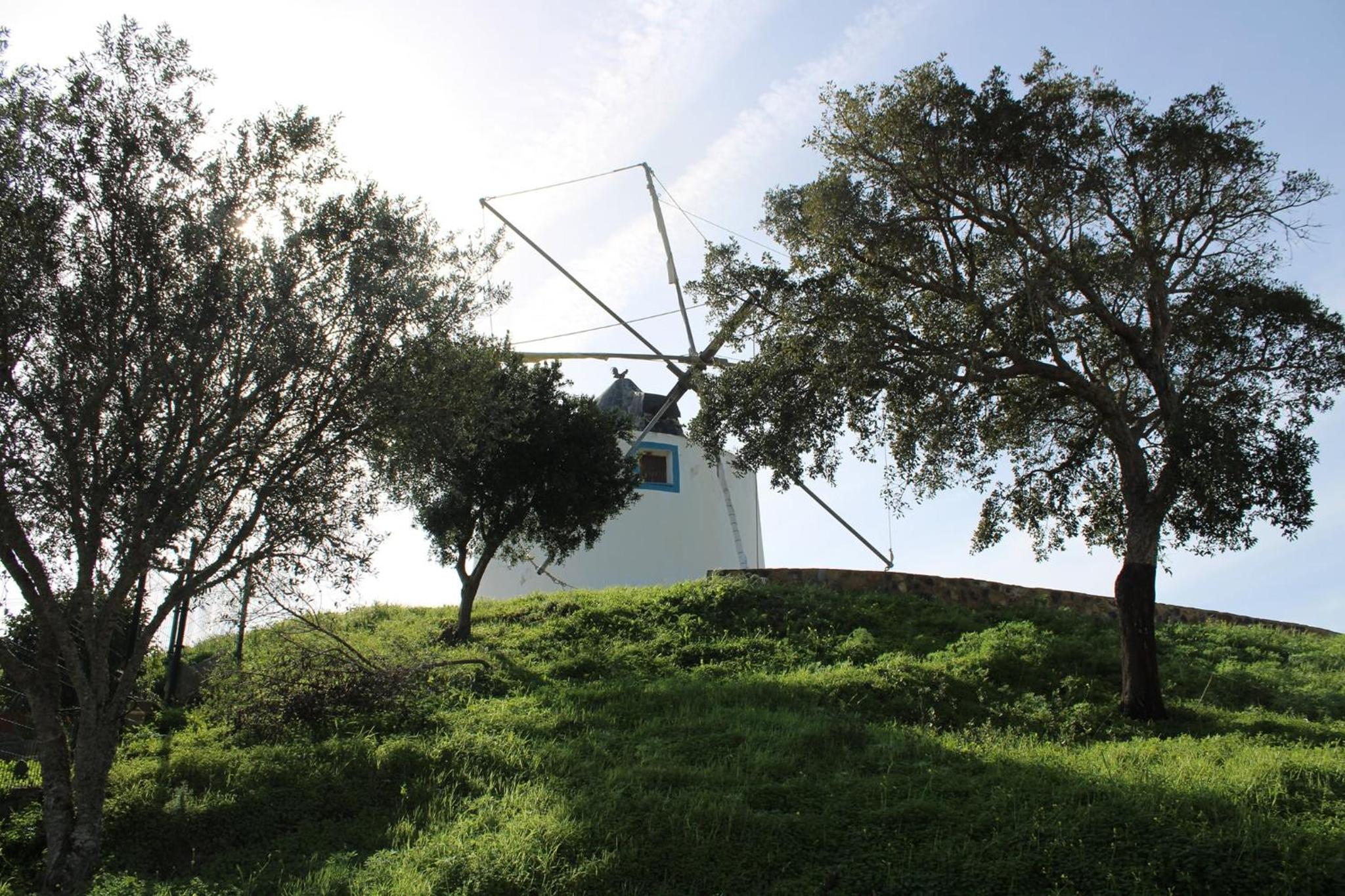 Photo 40