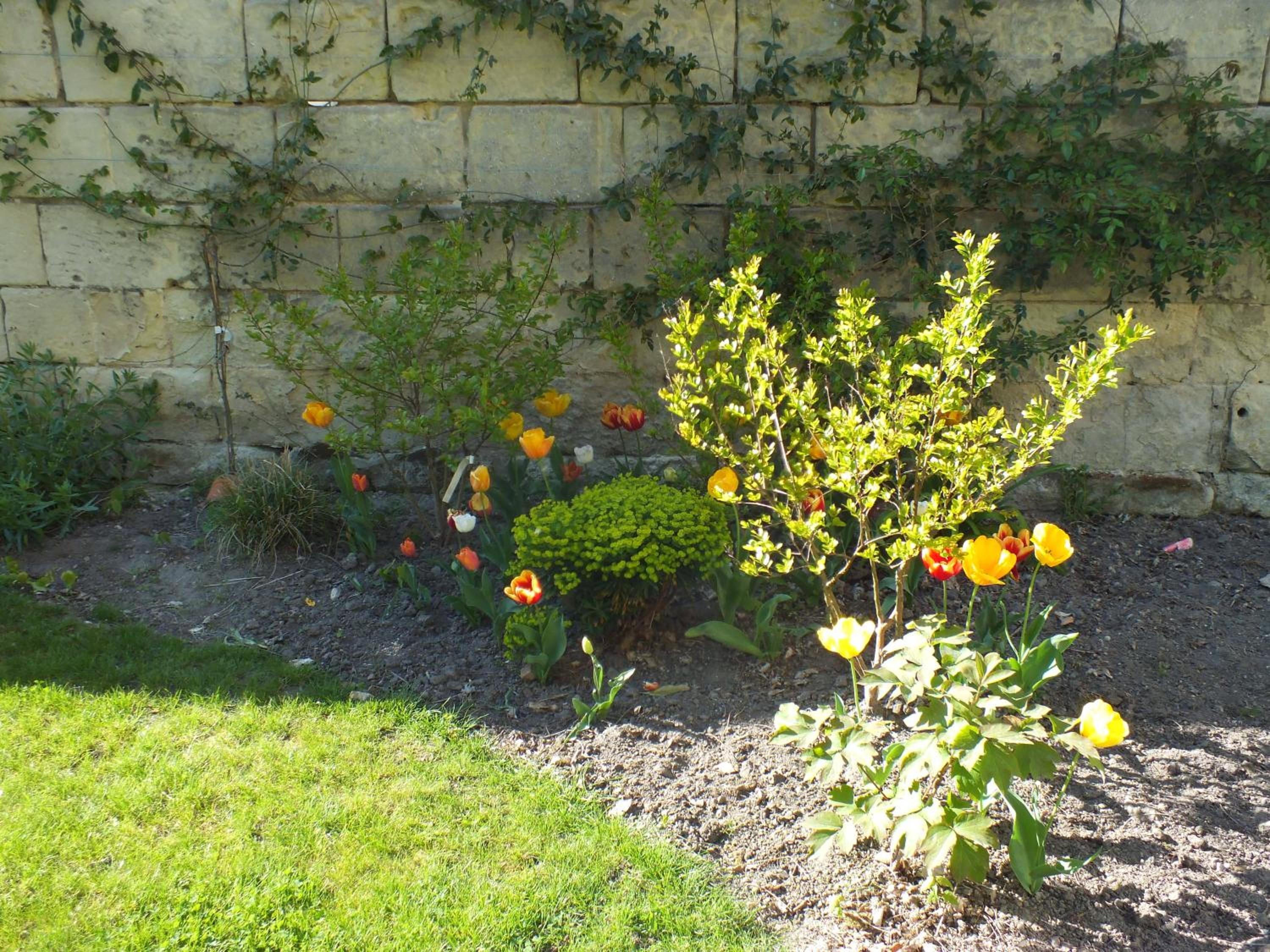 A la Fleur de Lys