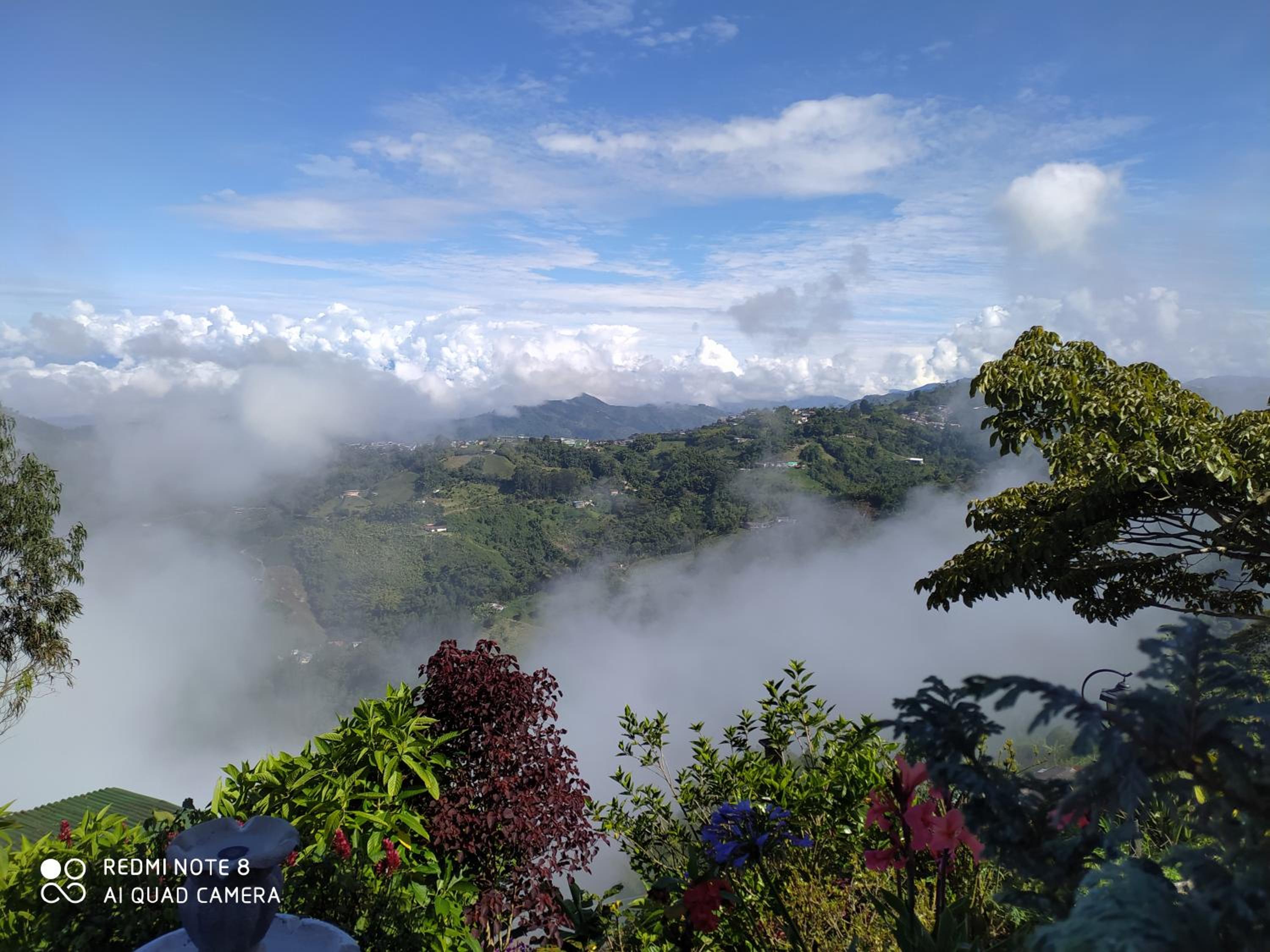 Mirador Finca Morrogacho