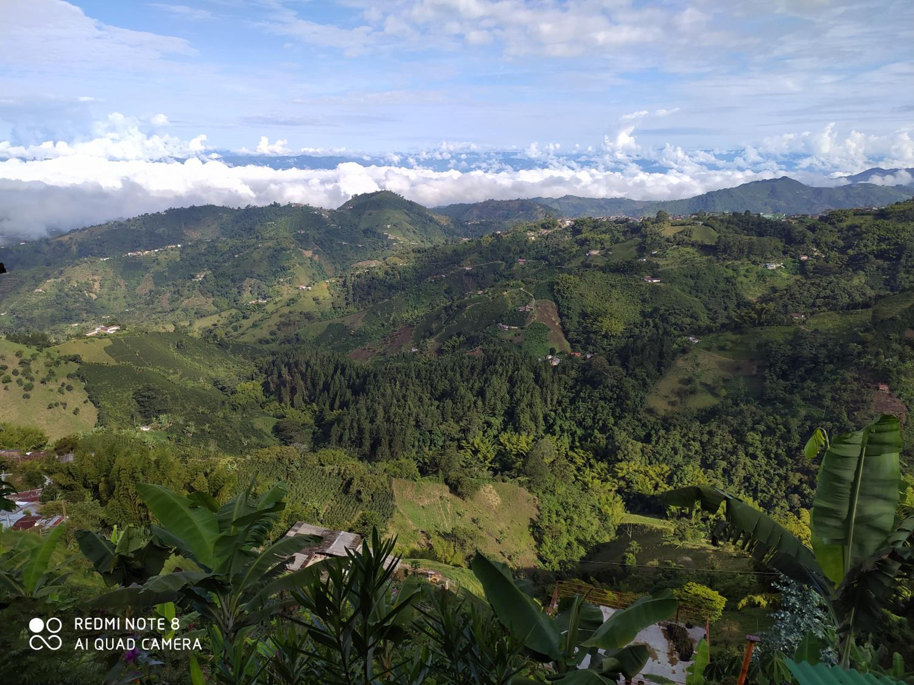 Mirador Finca Morrogacho