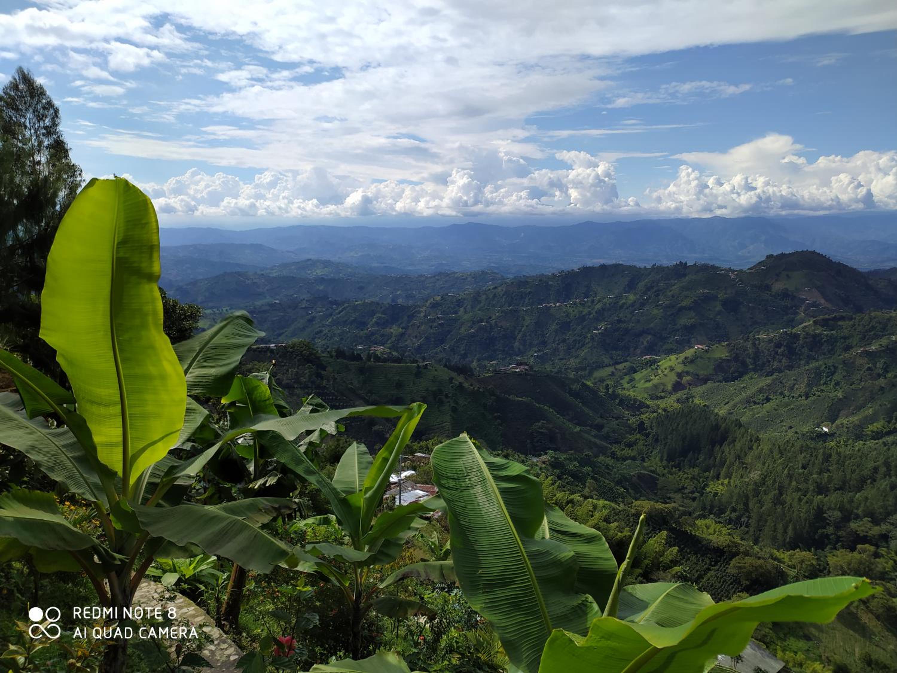 Mirador Finca Morrogacho
