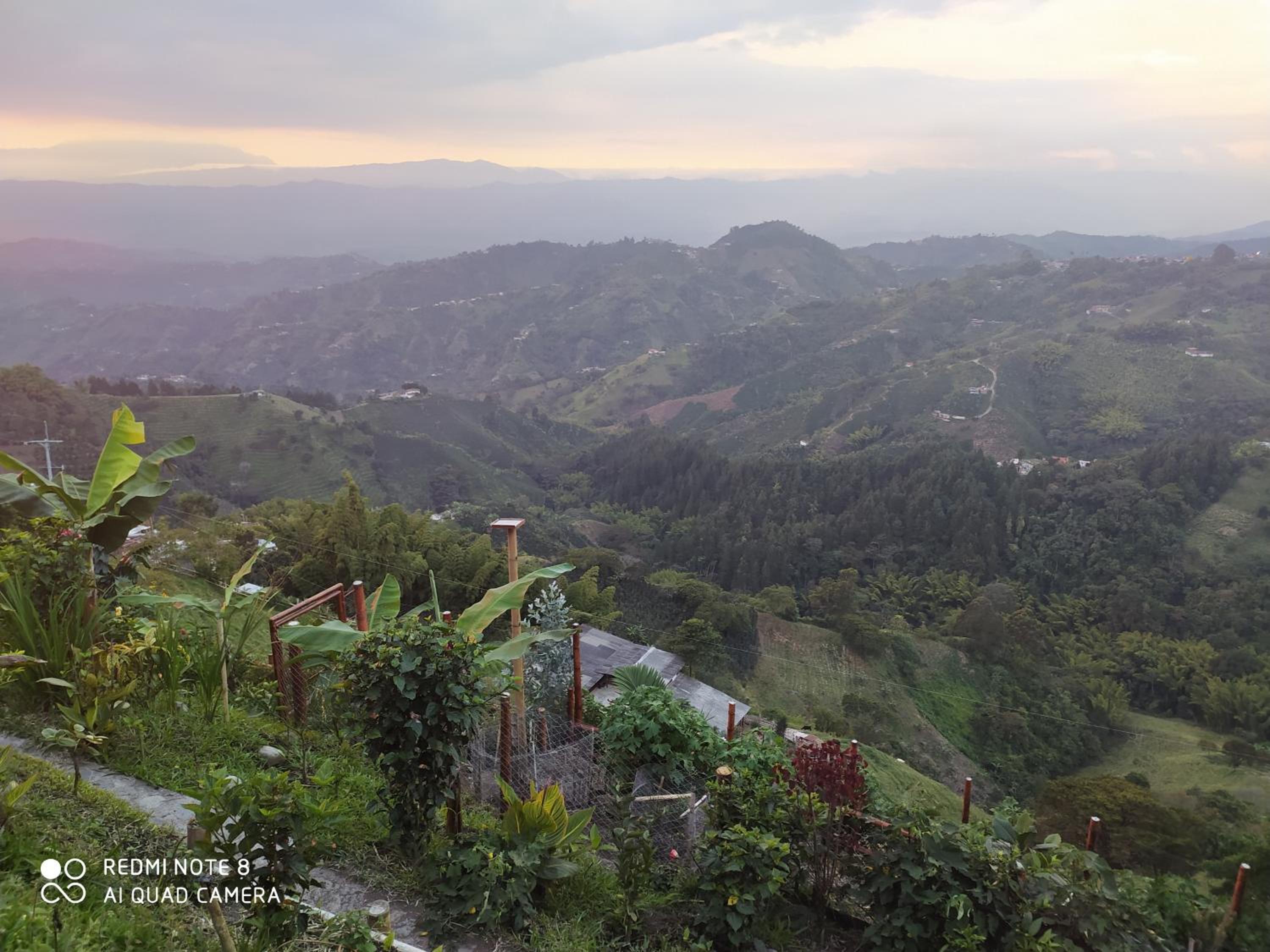 Mirador Finca Morrogacho
