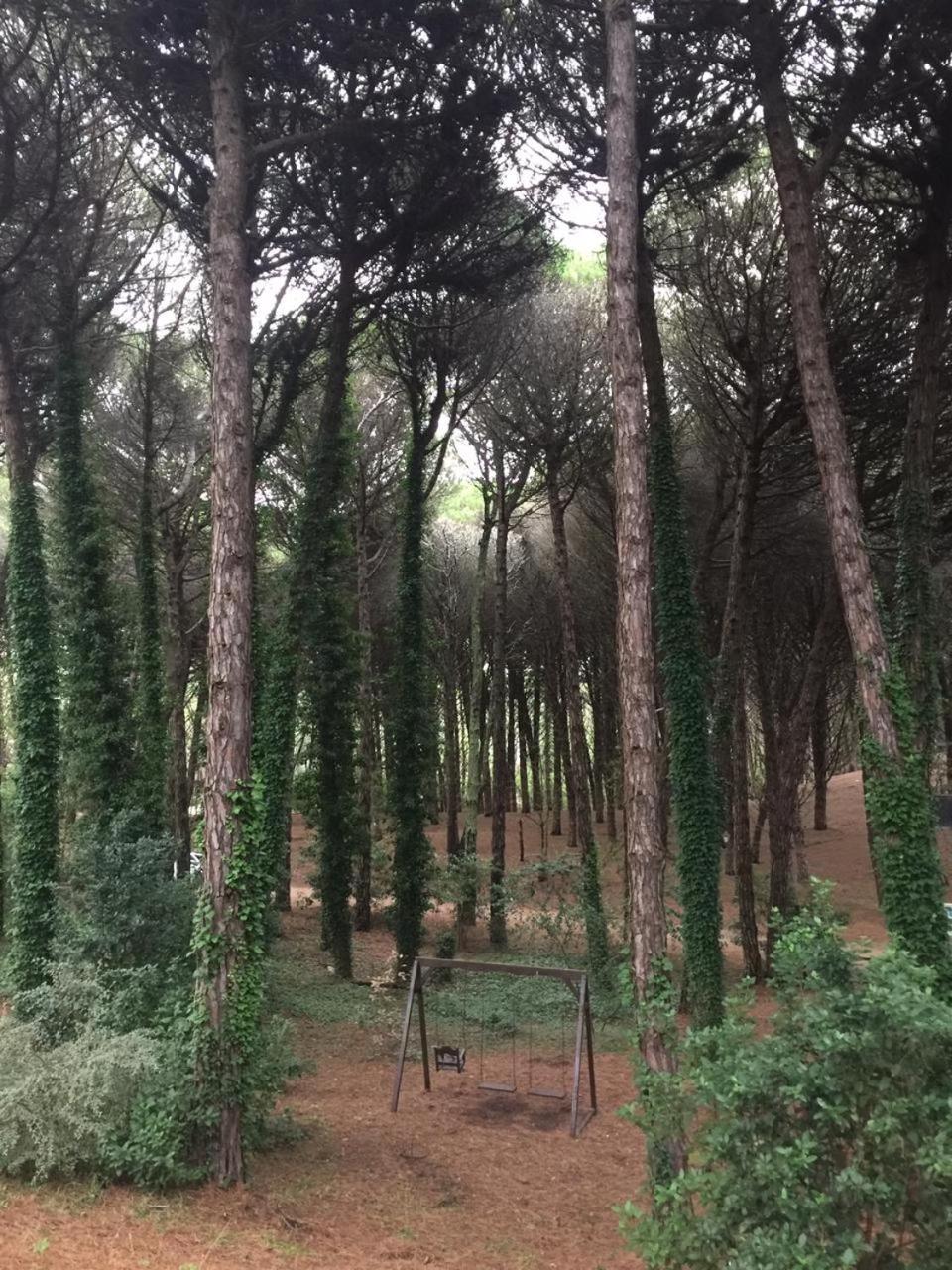 Punta Cerezo Apart