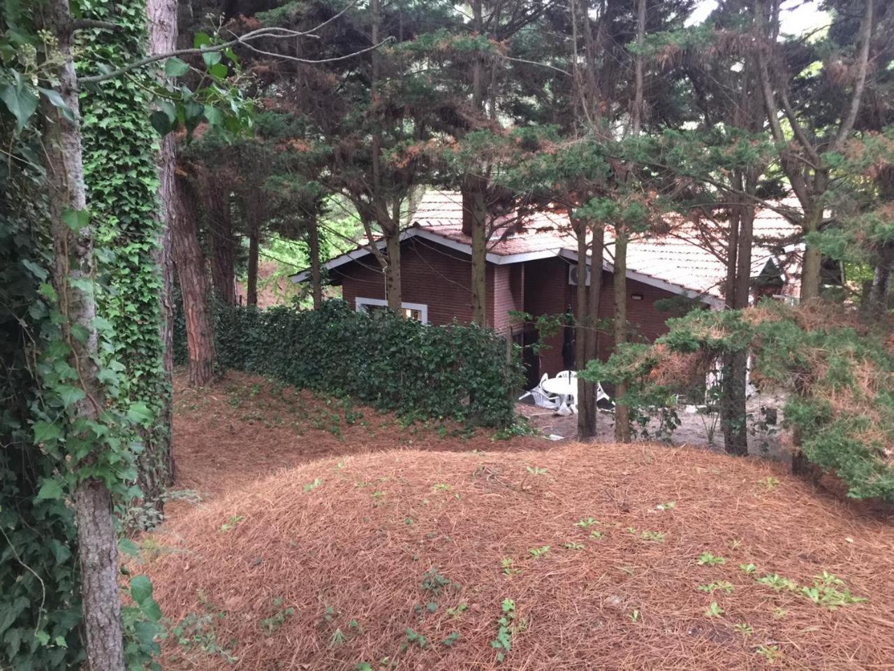 Punta Cerezo Apart