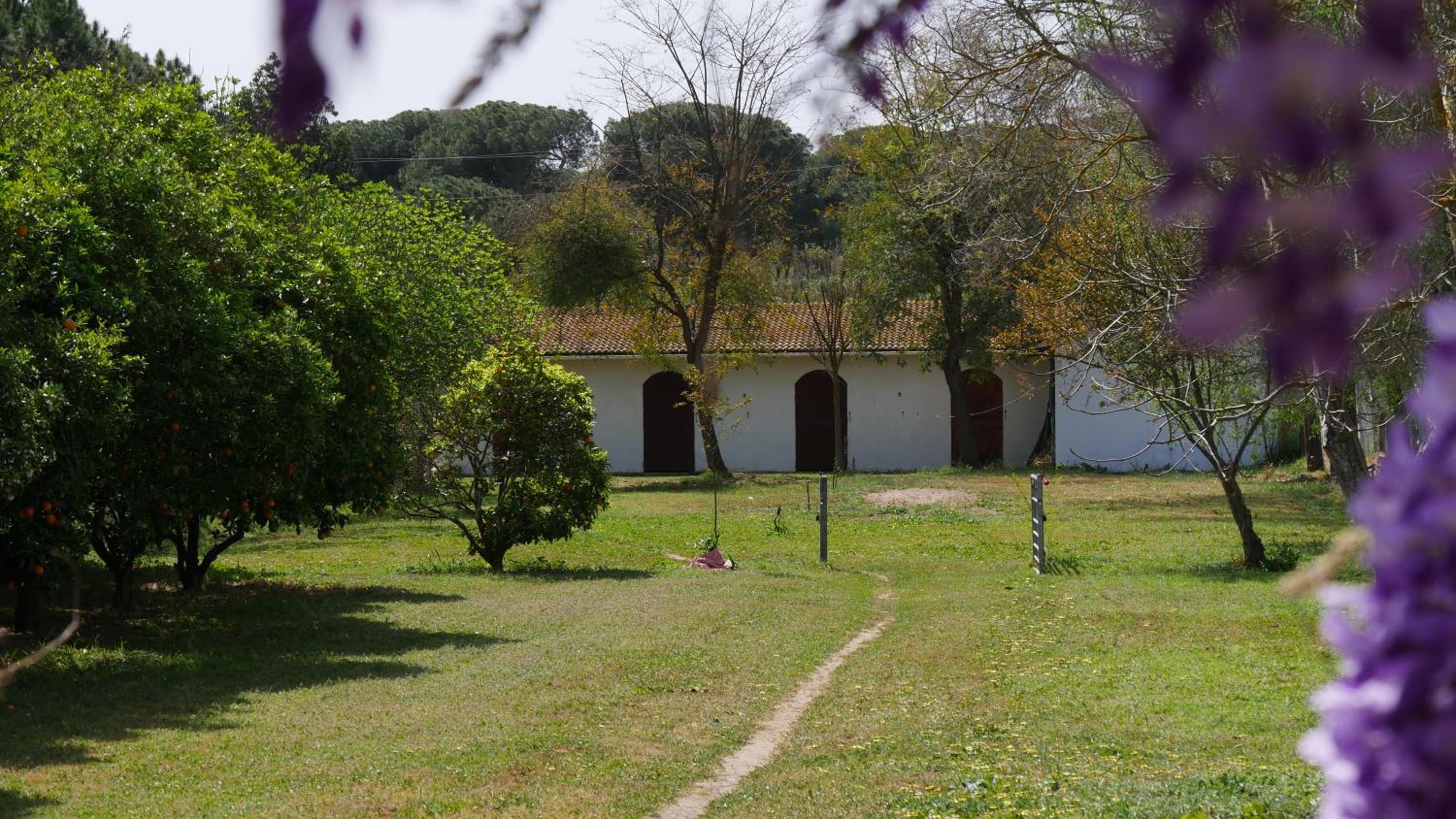 Photo 28