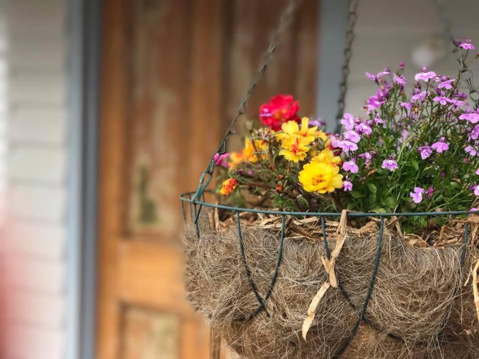 Robin Hoods Well Farm Stay
