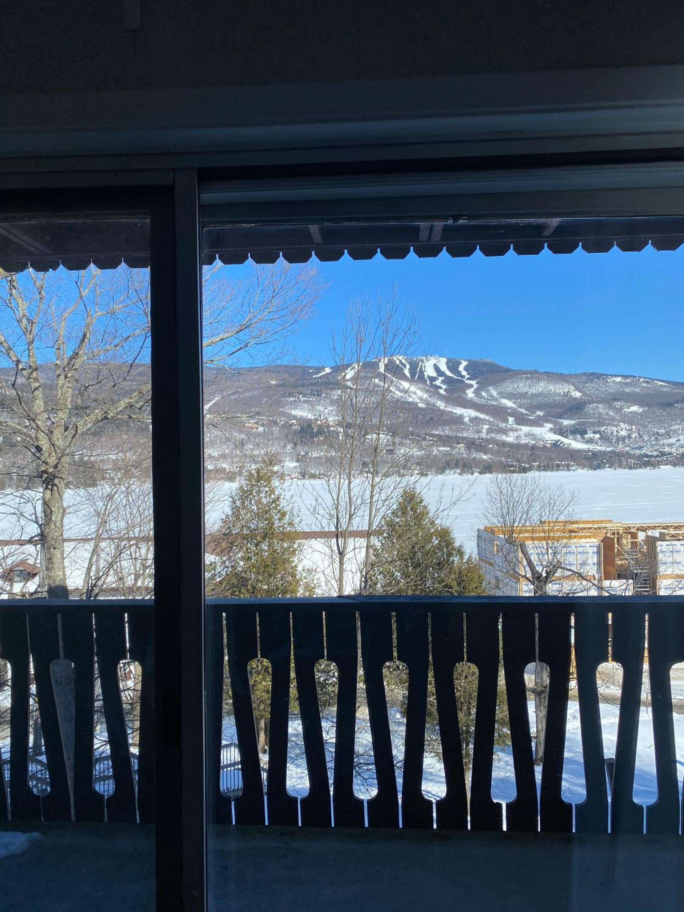 Mountain view fully renovated 6-8 people condo