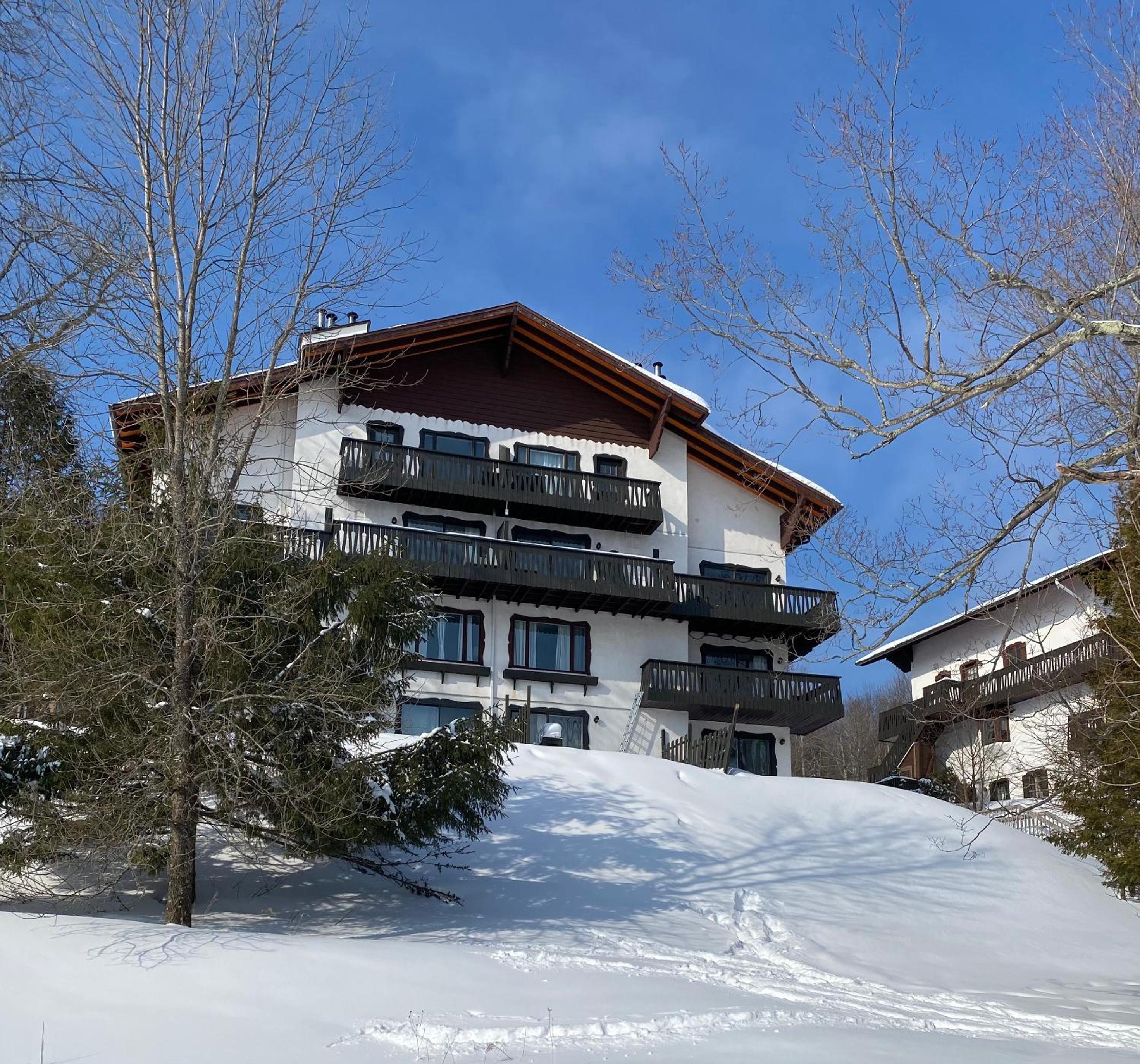 Mountain view fully renovated 6-8 people condo