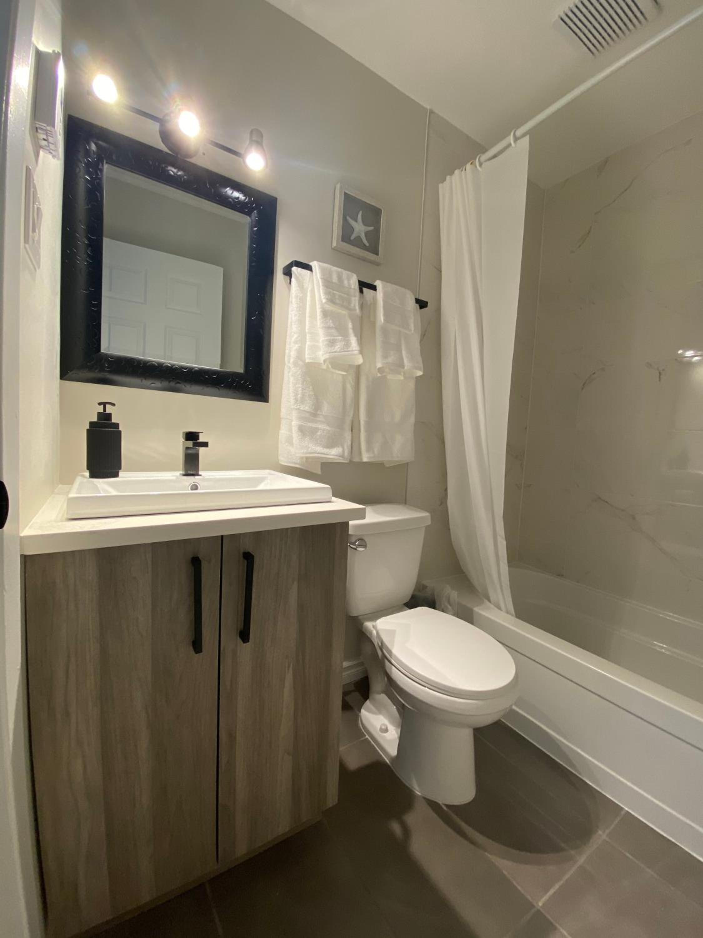 Mountain view fully renovated 6-8 people condo