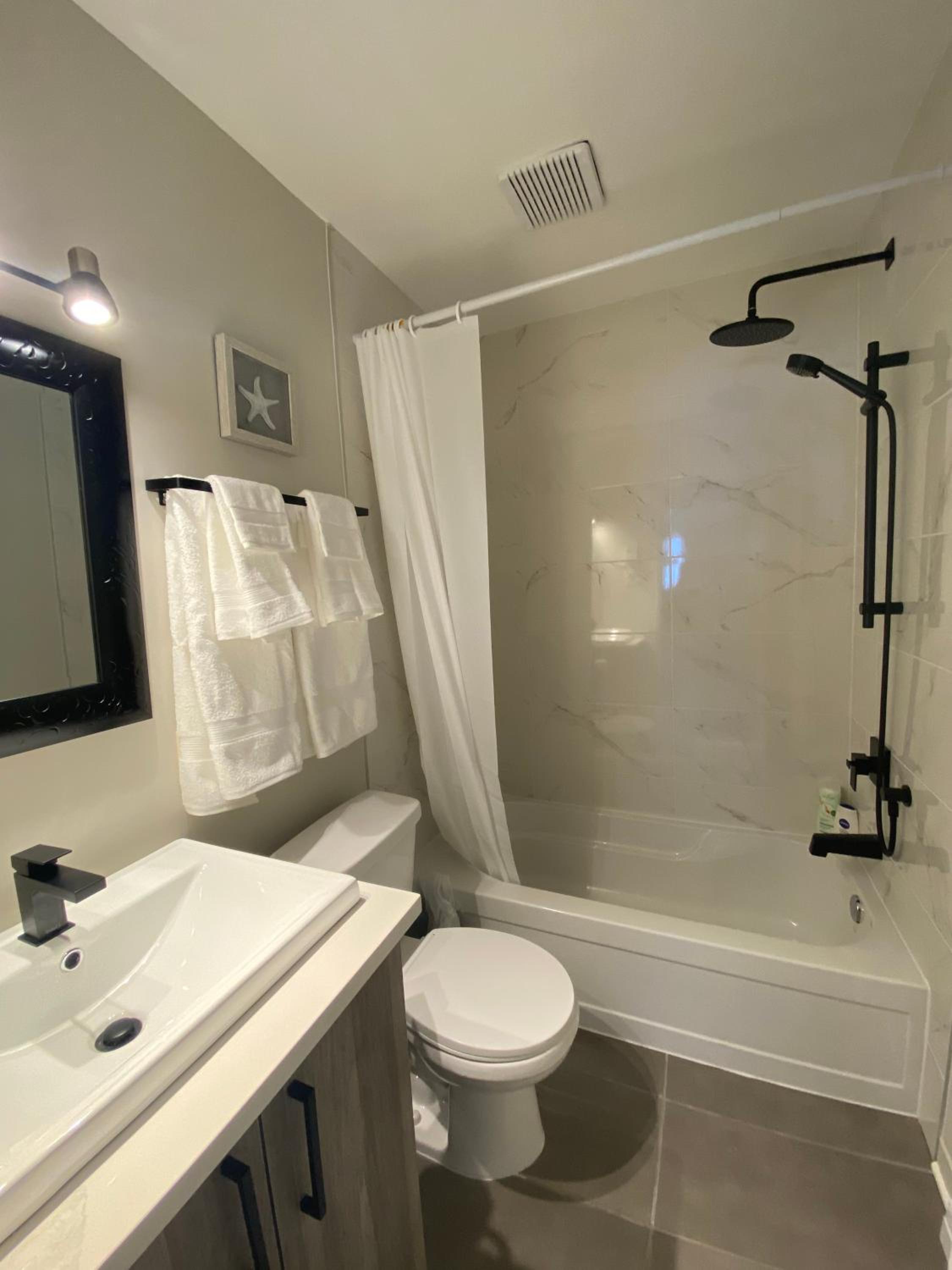 Mountain view fully renovated 6-8 people condo