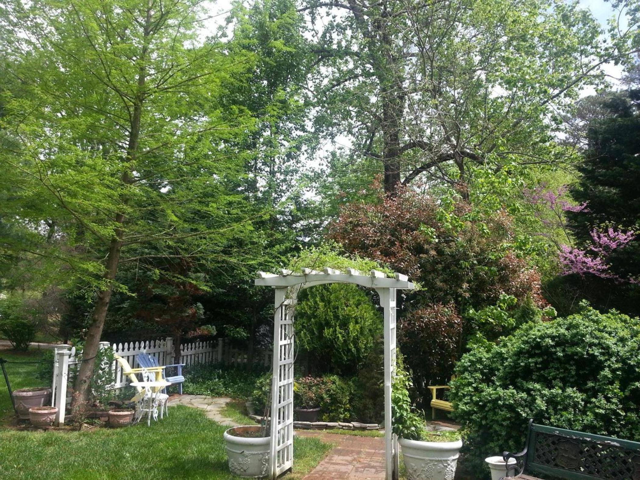 Photo 32