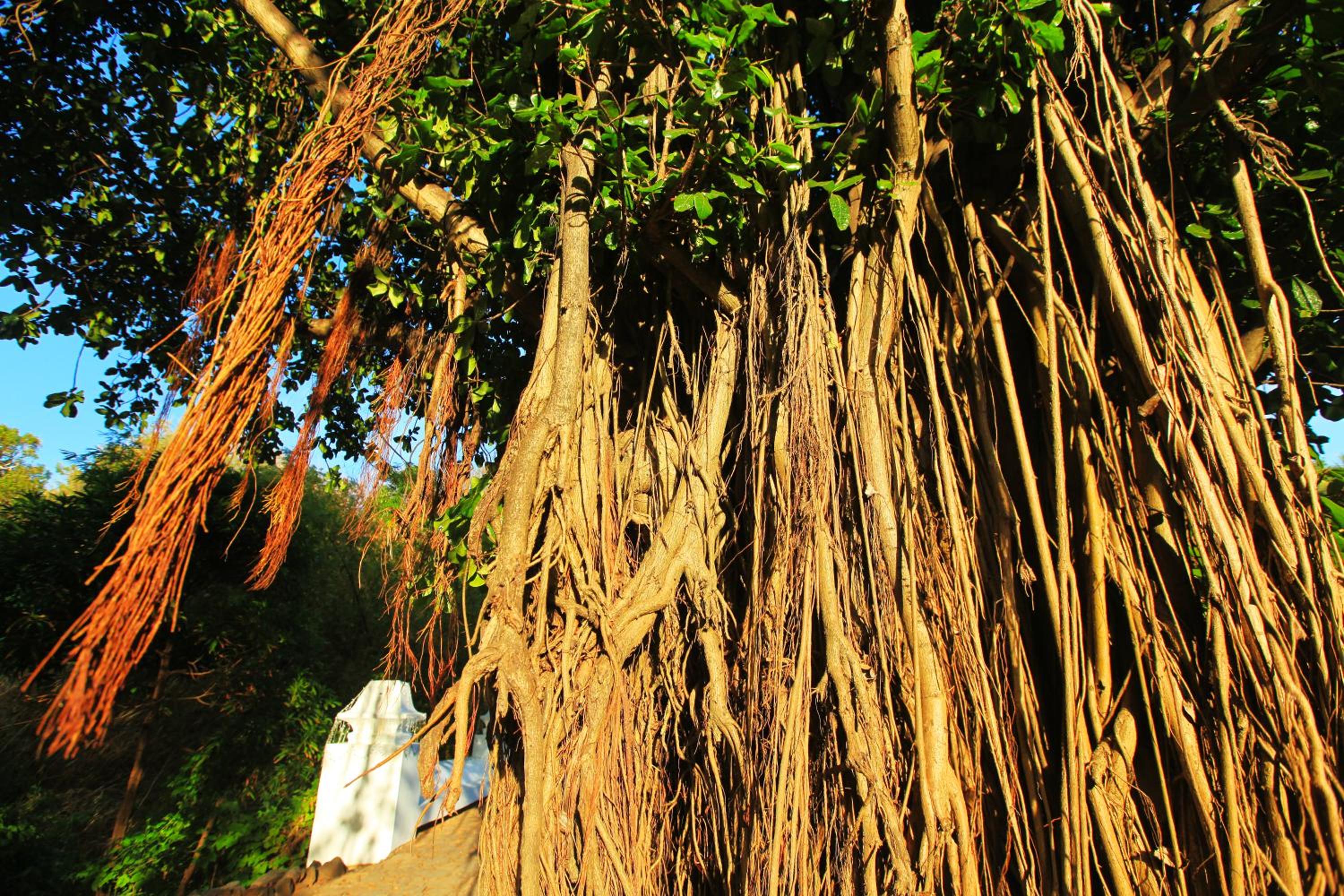 Pousada do Vale