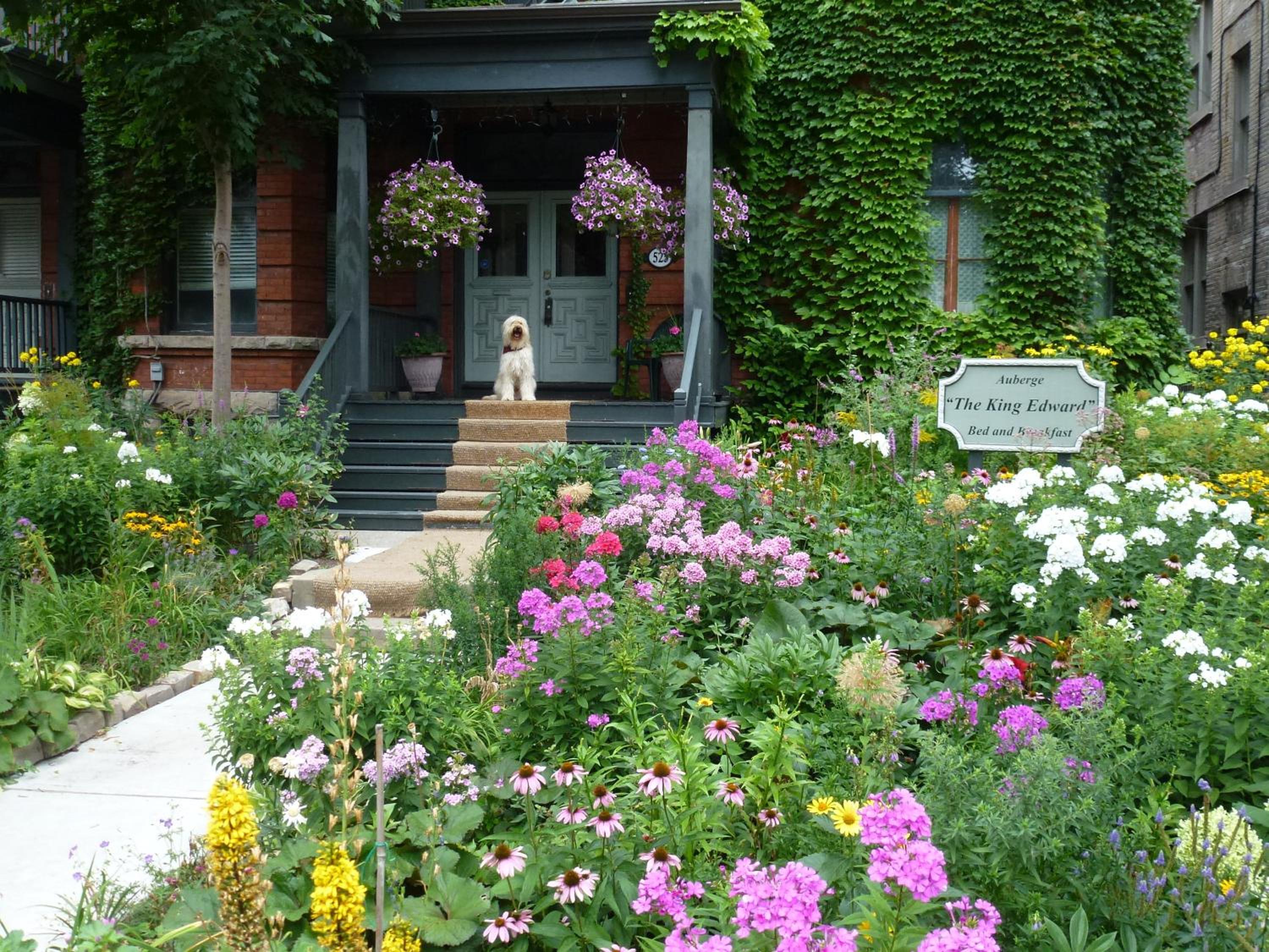Auberge King Edward Bed and Breakfast