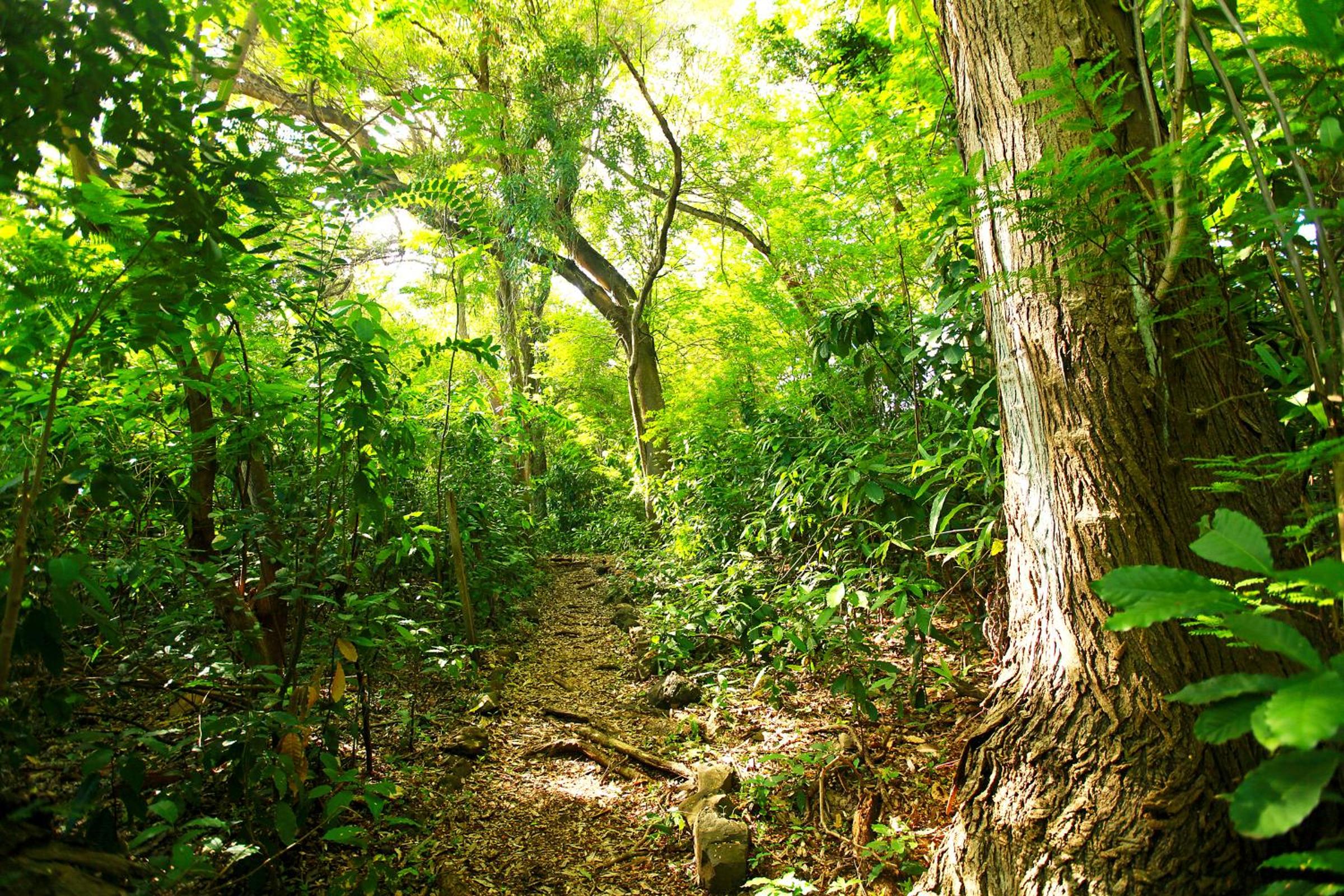 Pousada do Vale