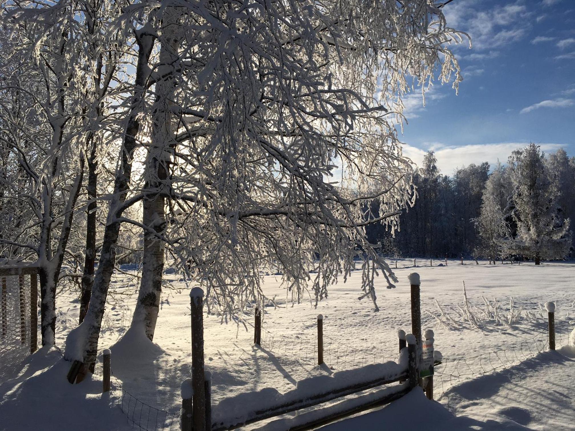 Ollilan tupa Joensuun lähellä