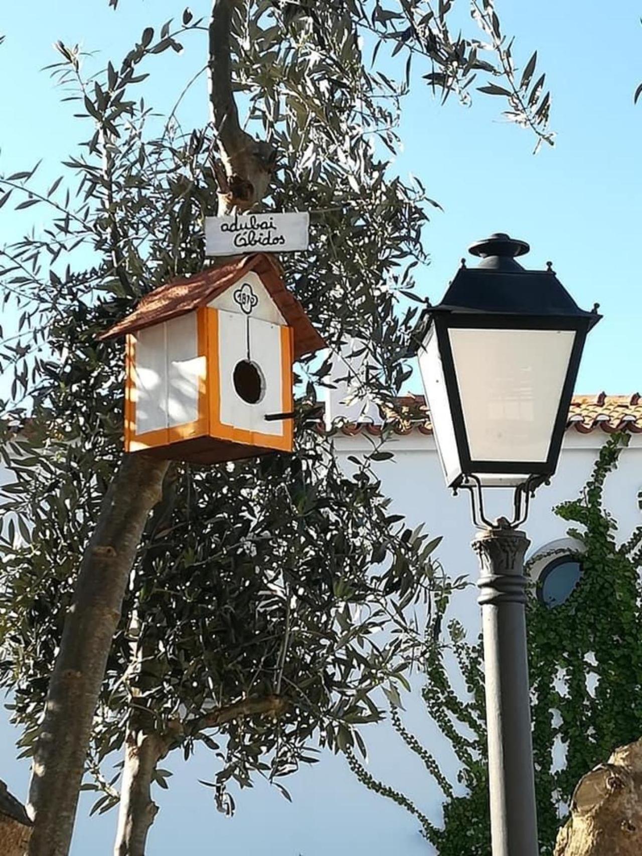 Photo 21