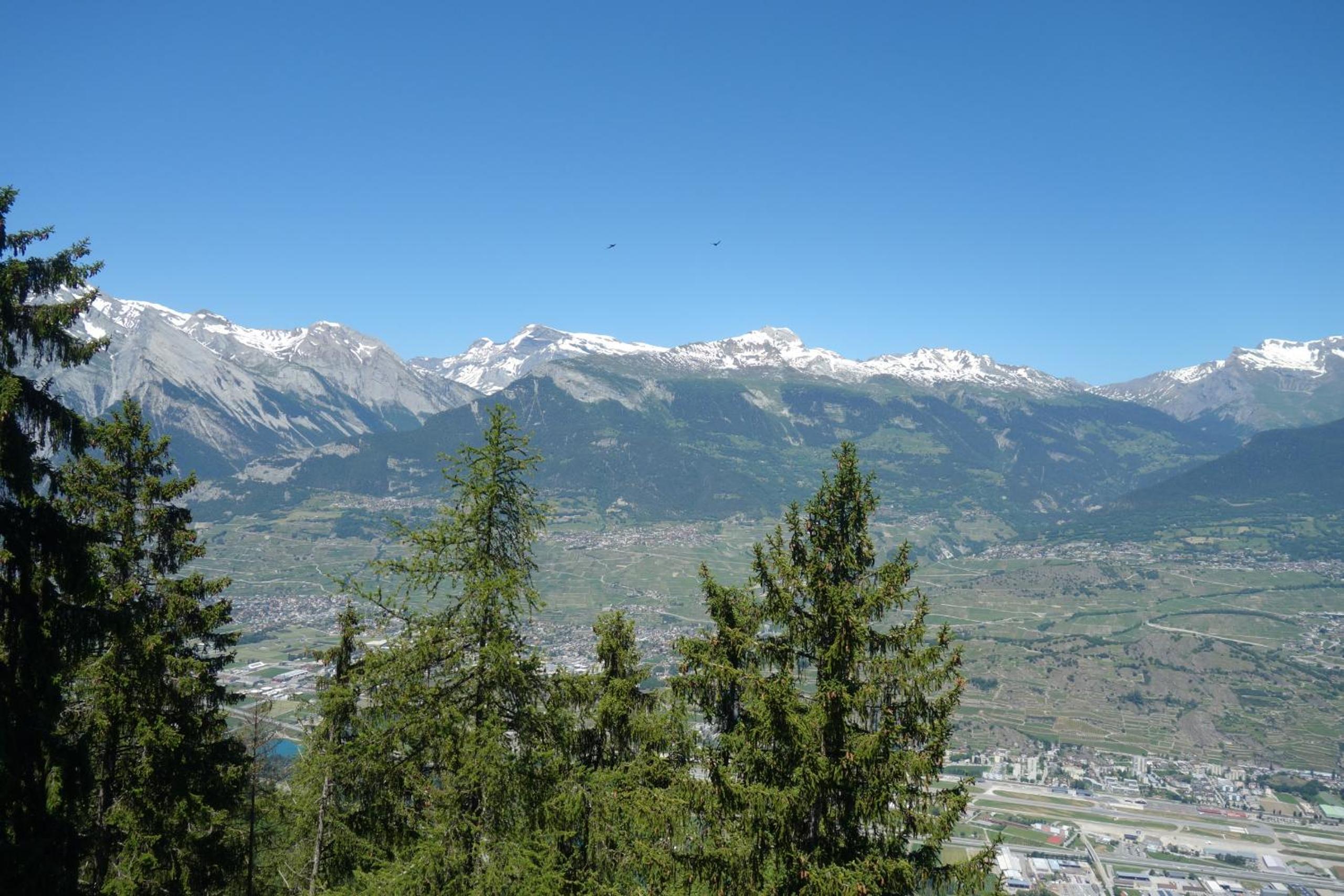 Melezes K SKI LIFT & NATURE apartments by Alpvision Résidences