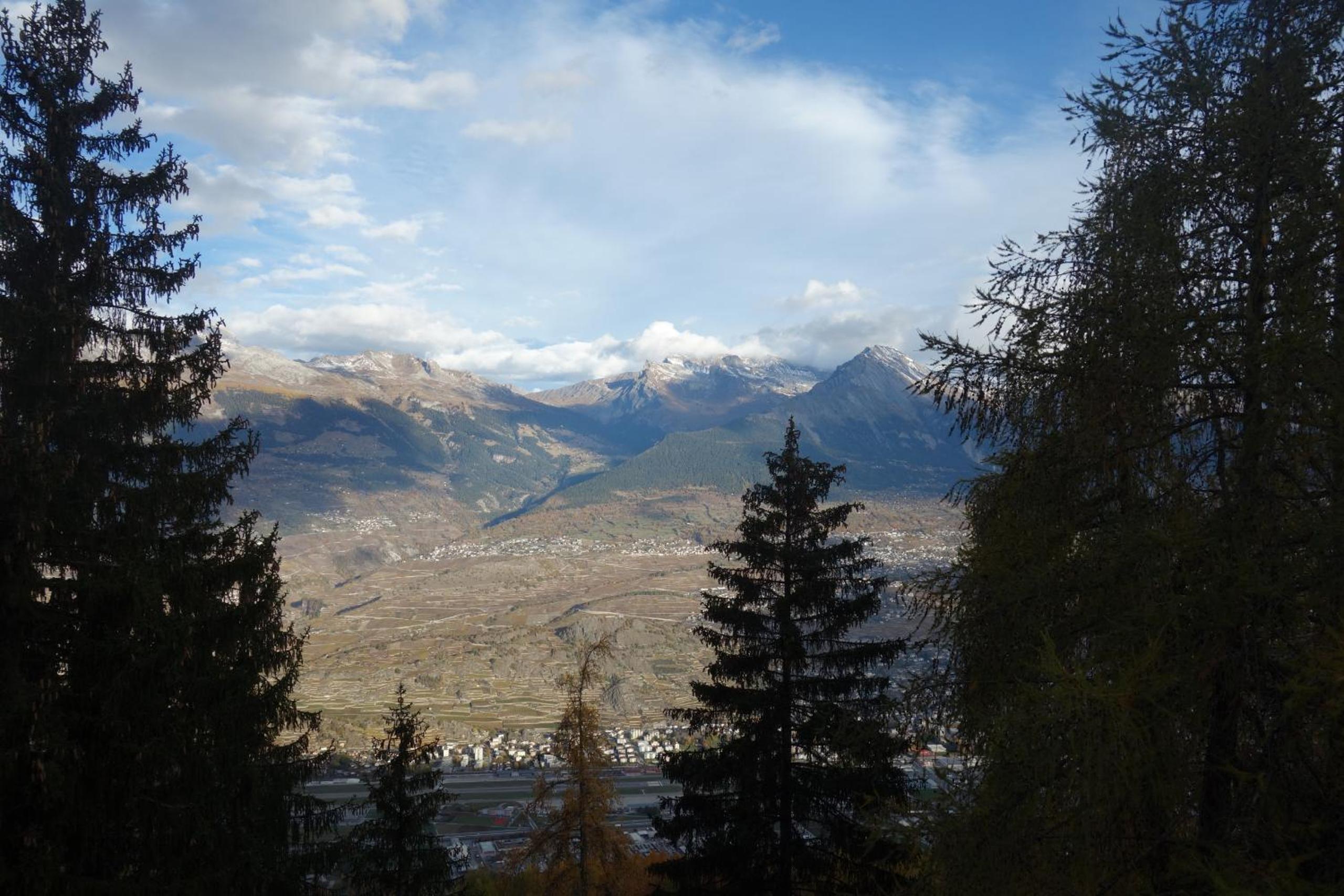 Melezes K SKI LIFT & NATURE apartments by Alpvision Résidences