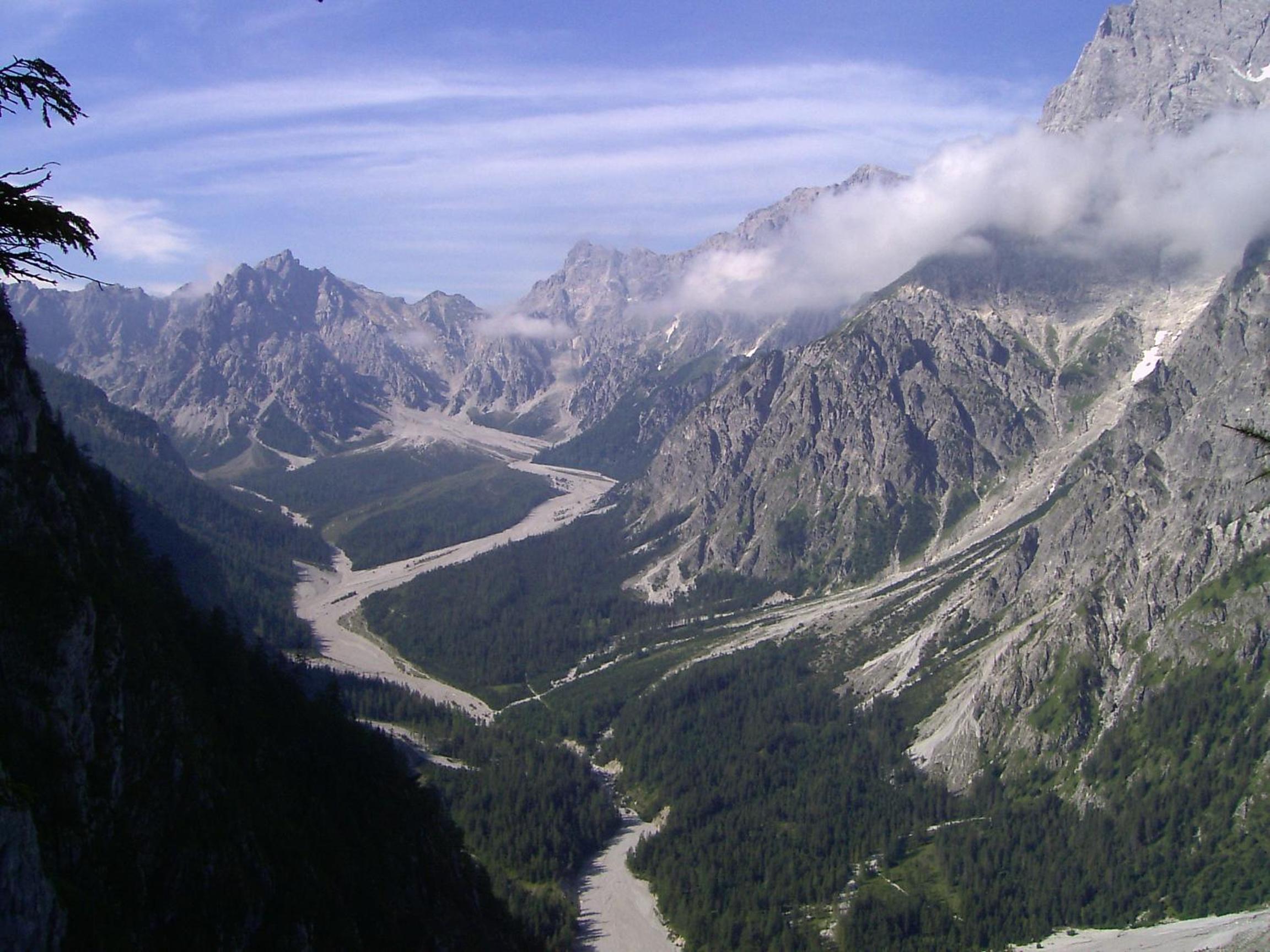 Photo 12