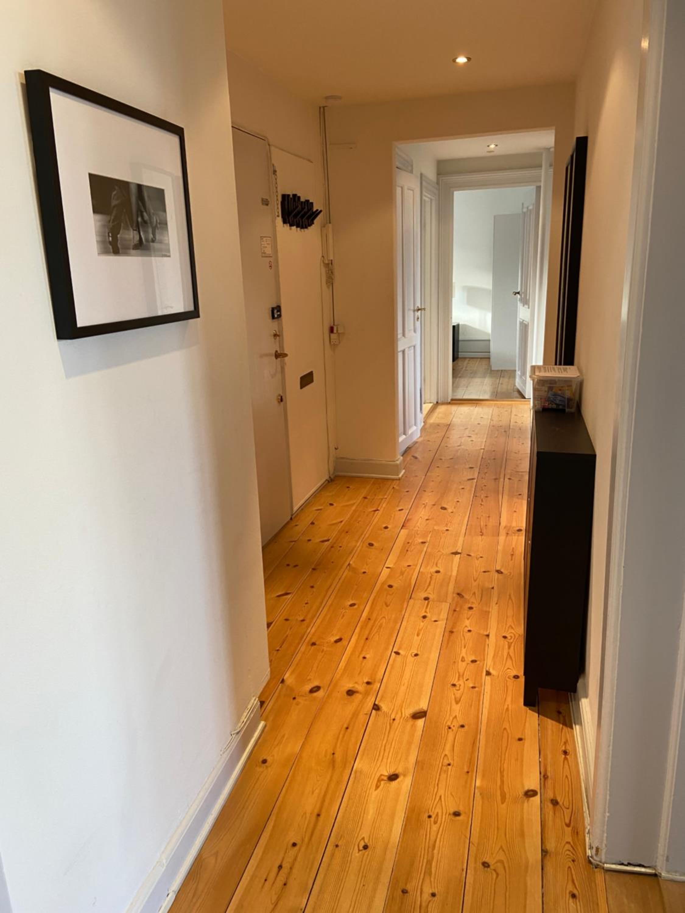 Amazing Apartment in The Heart Of Copenhagen