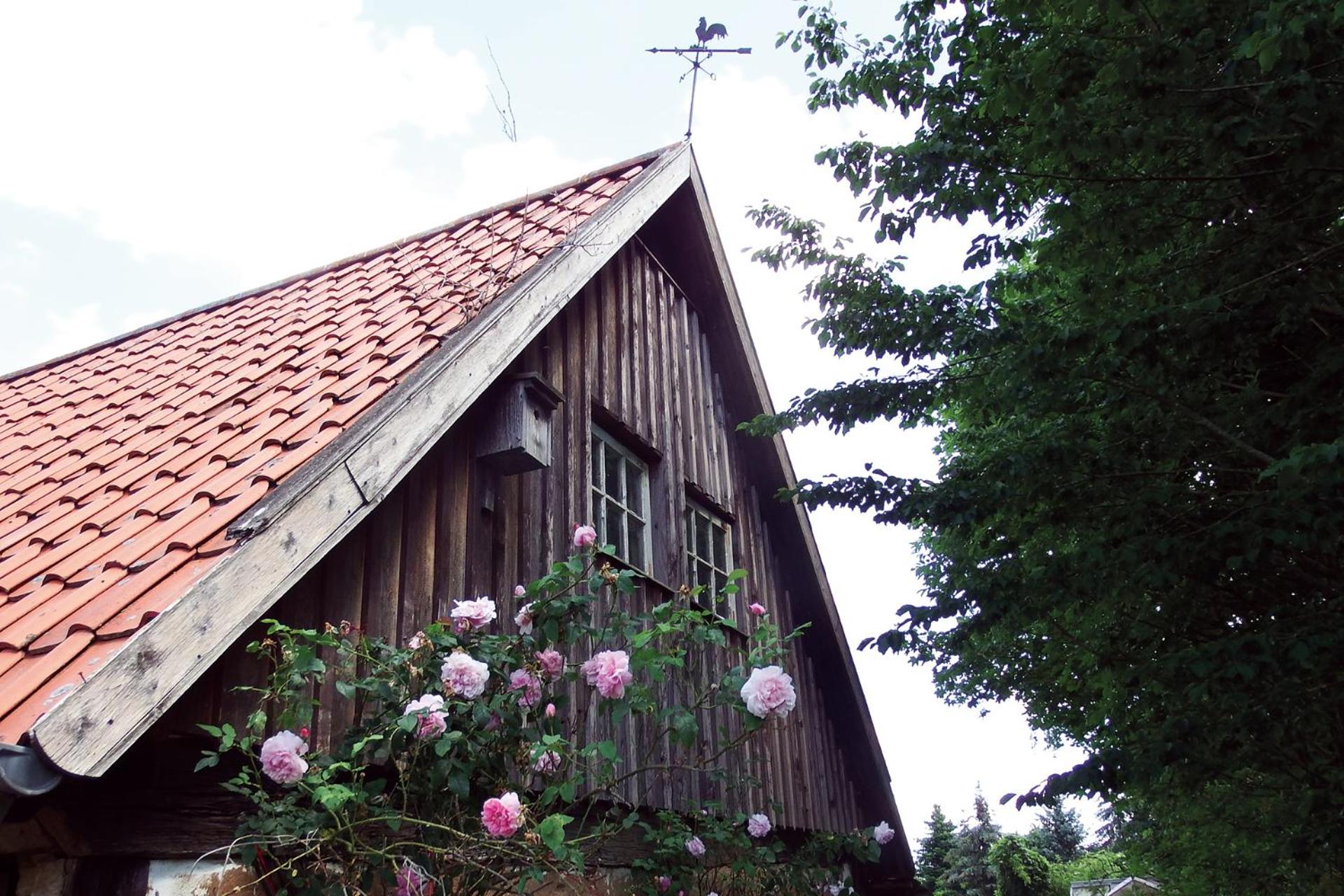 Photo 47